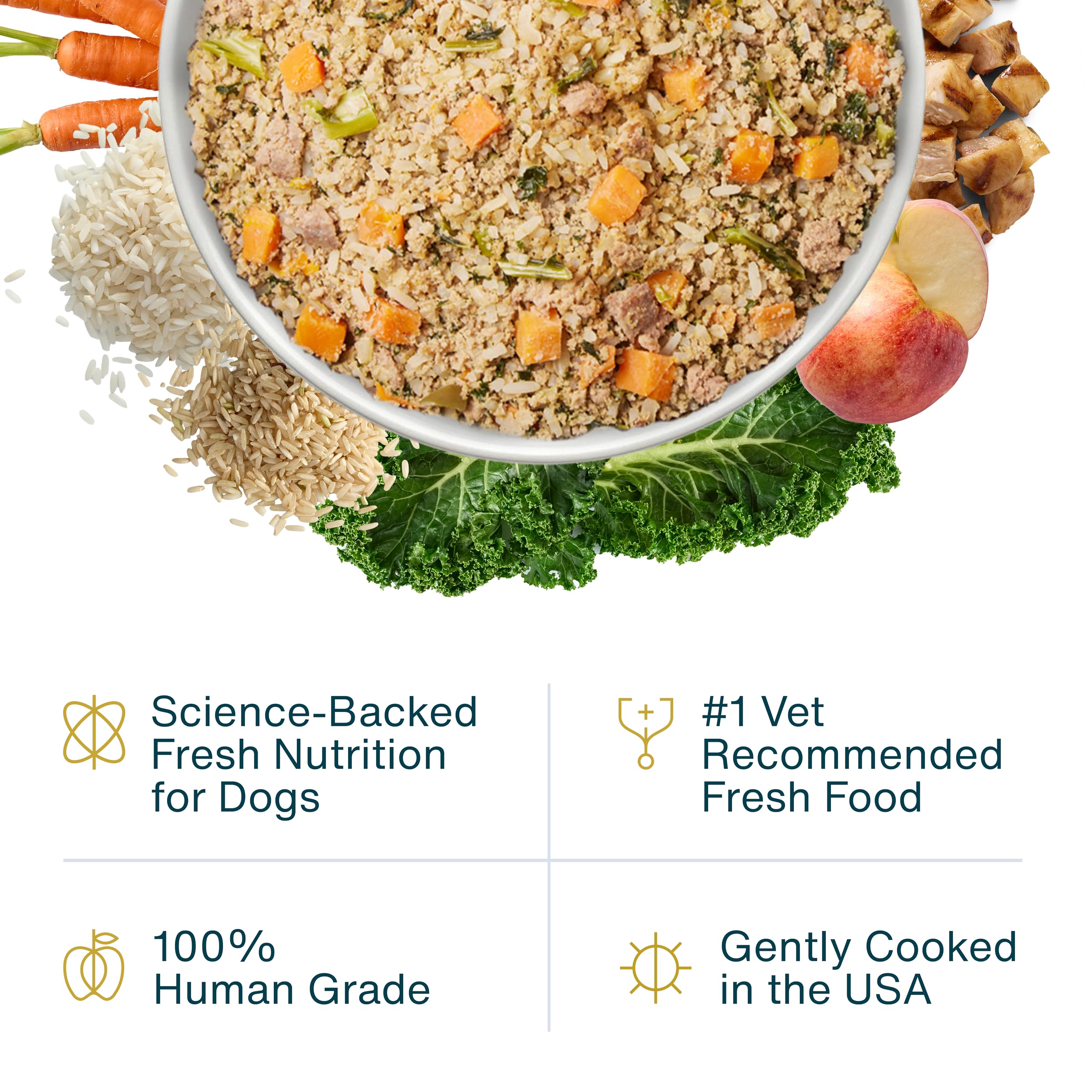 JustFoodForDogs Frozen Fresh Dog Food, Complete Meal or Dog Food Topper, Chicken & Rice Human Grade Recipe, 18 oz (Pack of 14)
