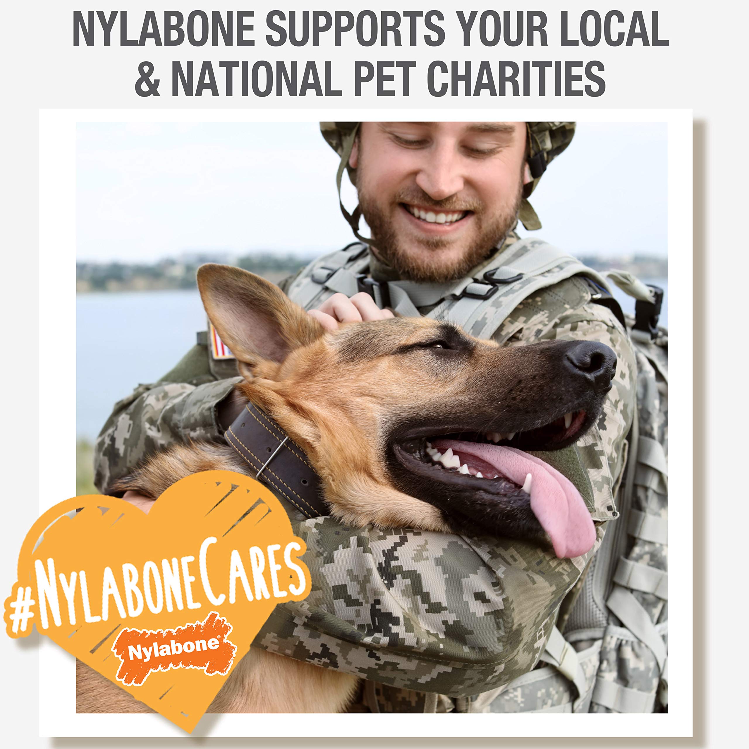 Nylabone Nubz Budz Natural Long Lasting Edible Dog Chews 20 Count Small - Up to 30 lbs.