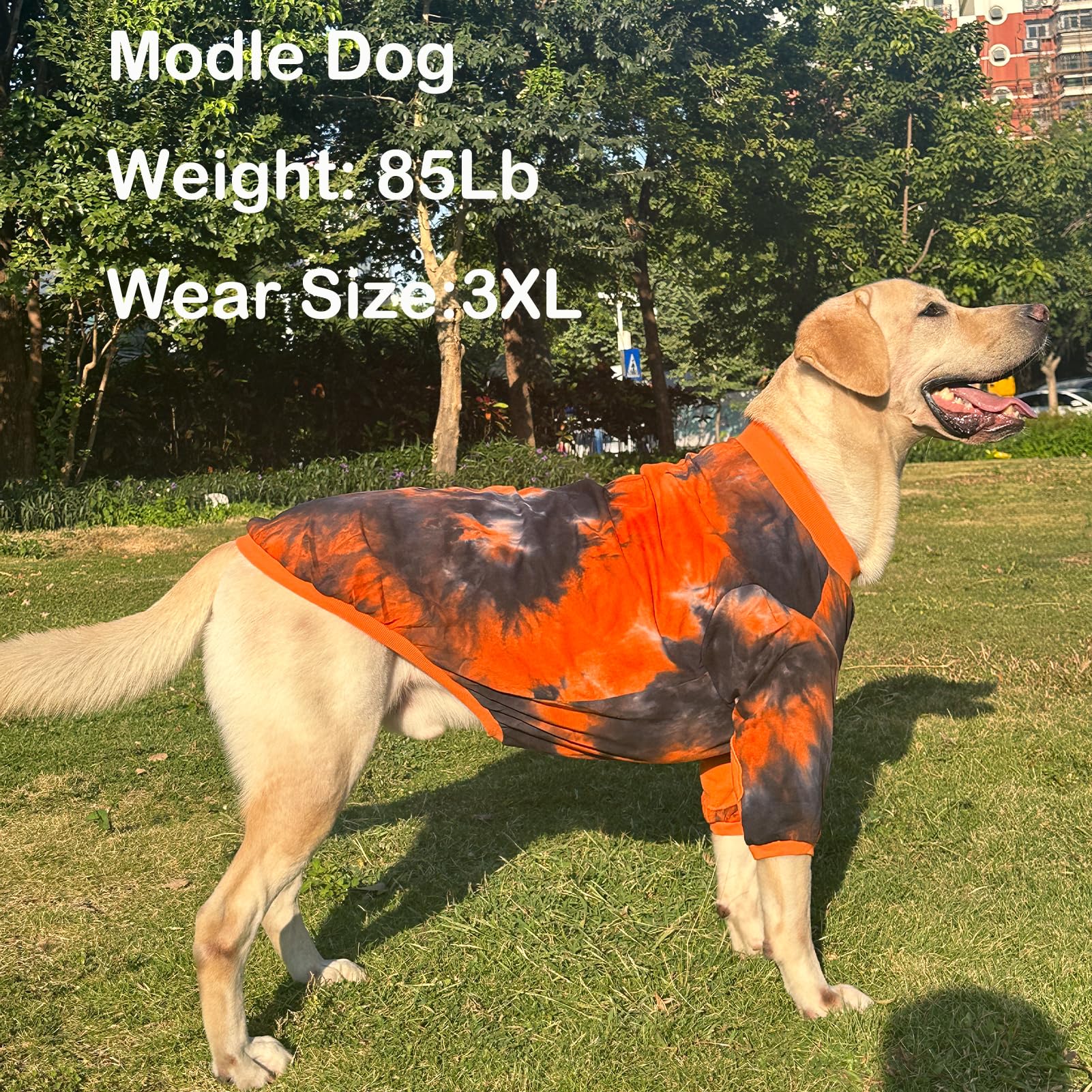PriPre Dog Cotton Colorful Black Orange T-Shirts Soft and Stretchy Dog Shirt Pajamas Pets Clothes for Large Dogs(XL Black)