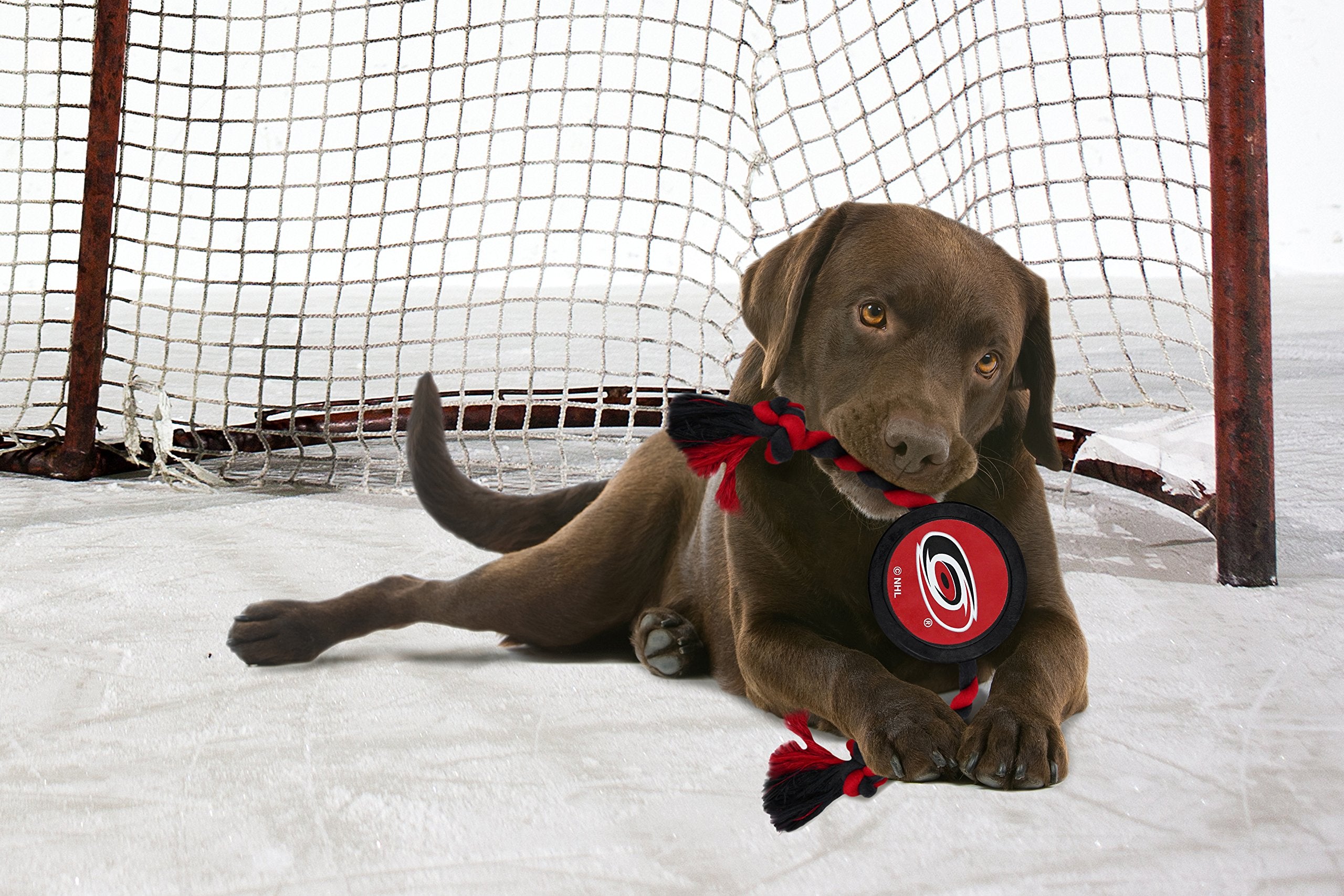 Pets First Nhl Carolina Hurricanes Puck Toy For Dogs & Cats. Play Hockey With Your Pet With This Licensed Dog Tough Toy Reward!