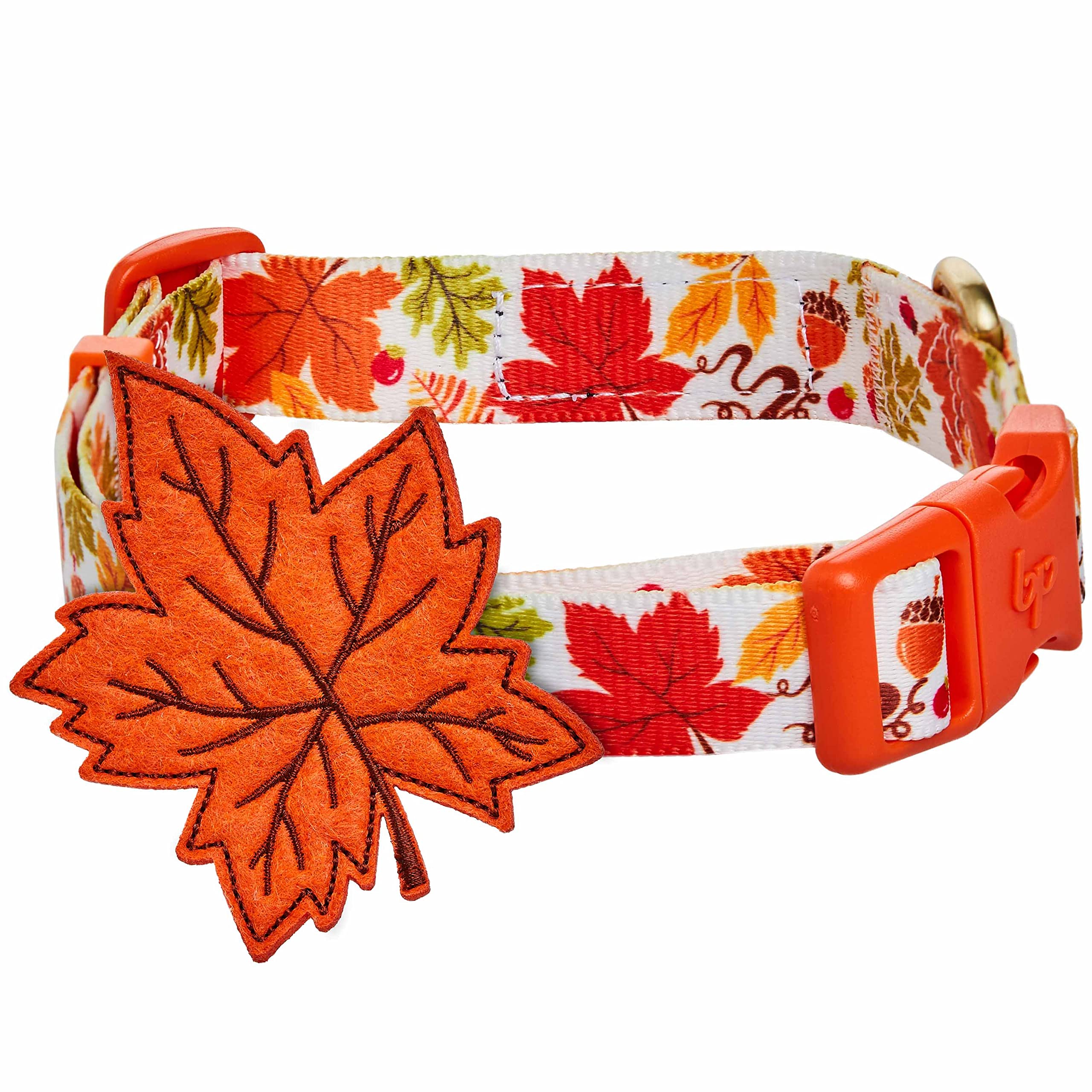 Blueberry Pet Adjustable Thanksgiving Dog Collar - Medium 14.5''-20'' Neck, Perfect Puppy Collar for Fall, Maple D  cor, Dog Col
