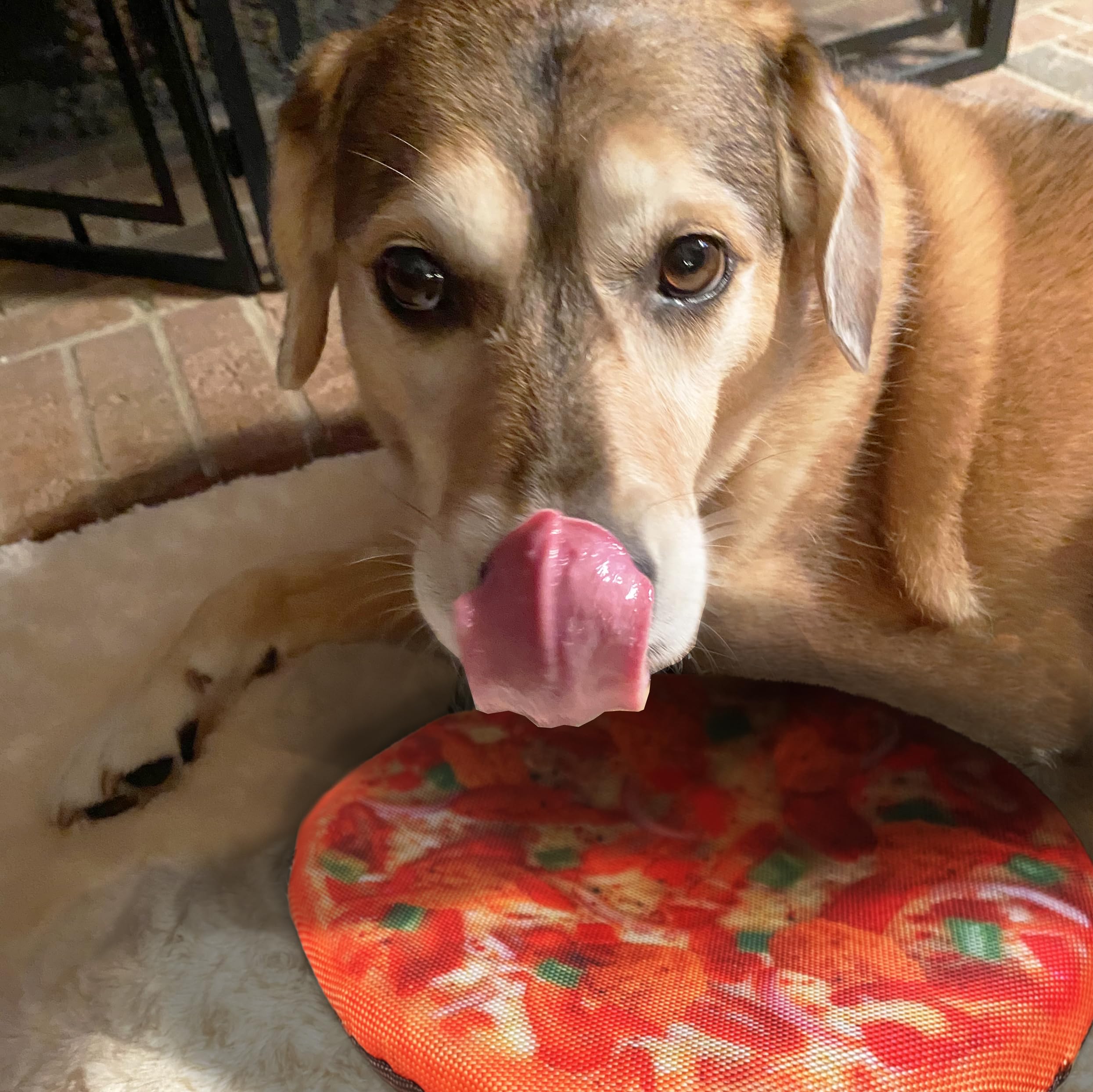 Scoochie Pet Plush Dog Toy with Squeaky Silly Sounds - Extra Soft, Unique Funny Designs for Aggressive Chewers - Interactive Pet Entertainment