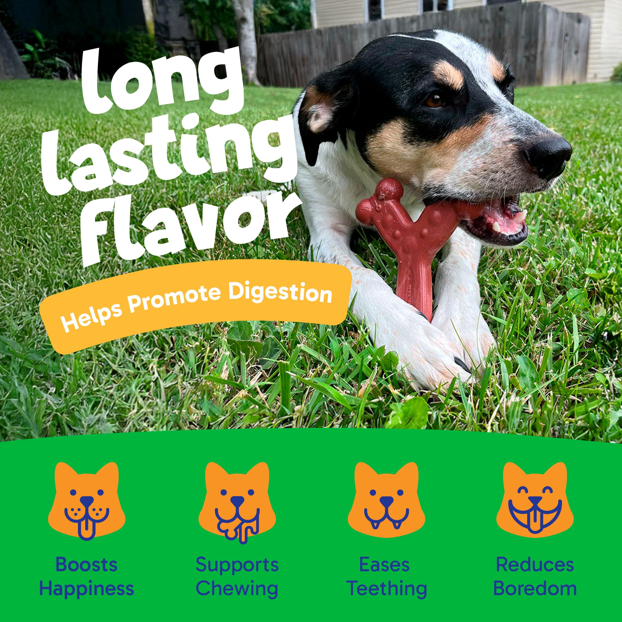 Chewems Durable Chew Toys for Small Dogs | Long-Lasting & Flavorful Chew Dog Toys, Small Dog Breeds | Chicken-Flavored