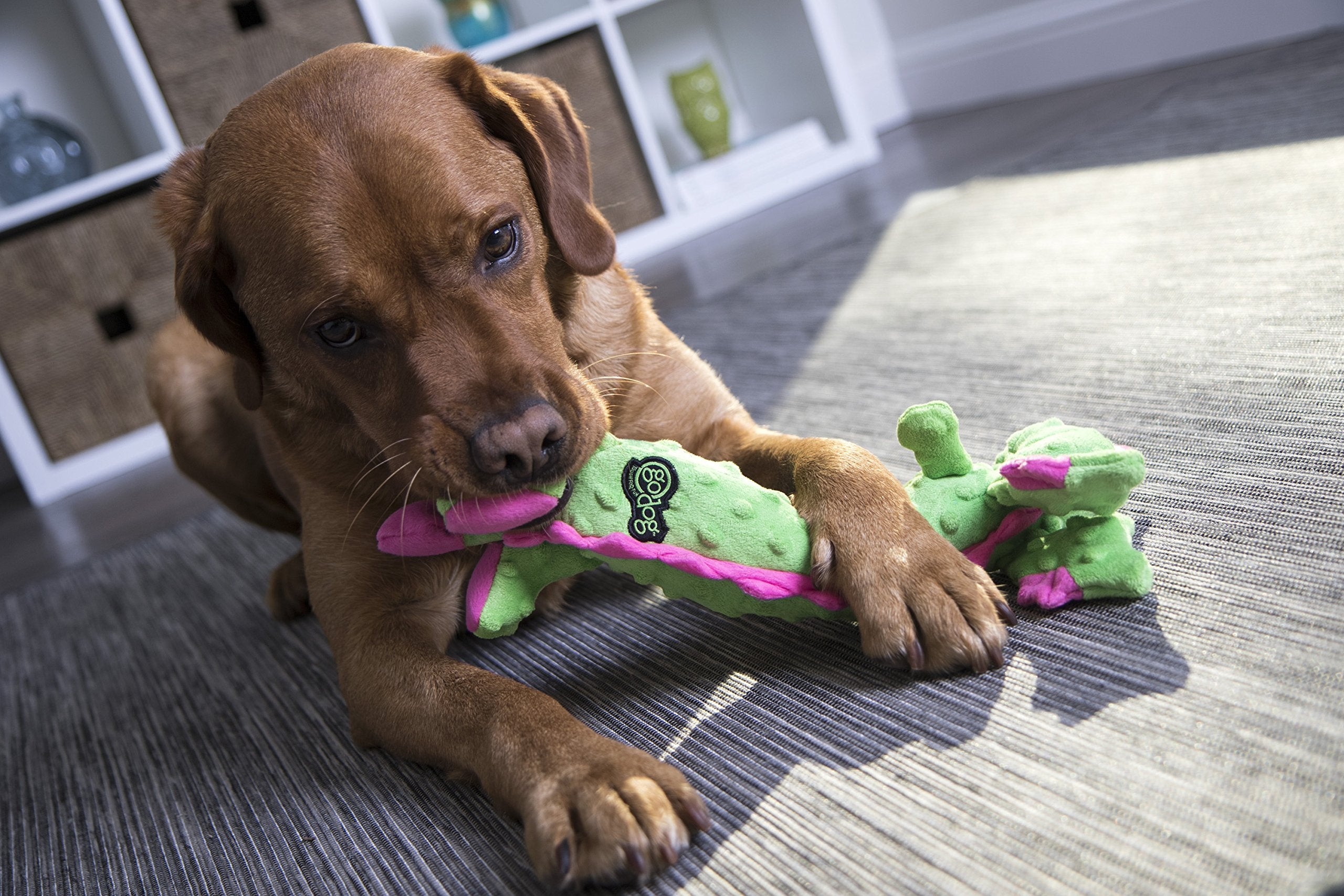 goDog Squeaky Plush Dog Toy, Chew Guard Technology, Large, Green, Bubble Plush Skinny Dragon