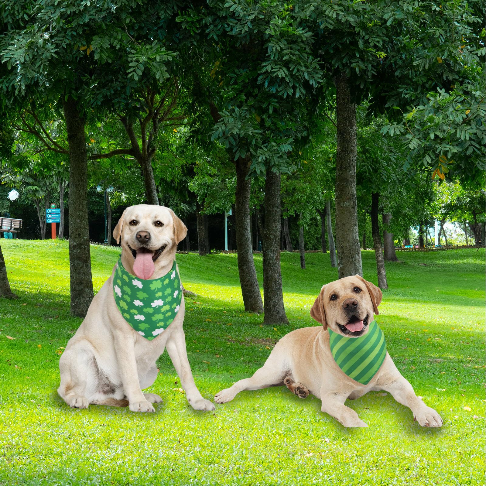 Gofshy Lucky Dog Bandana Spring -1 Pack, Premium Durable Triangle Reversible Dog Scarf, Adjustable Puppy Bandana Breed Bib Handk