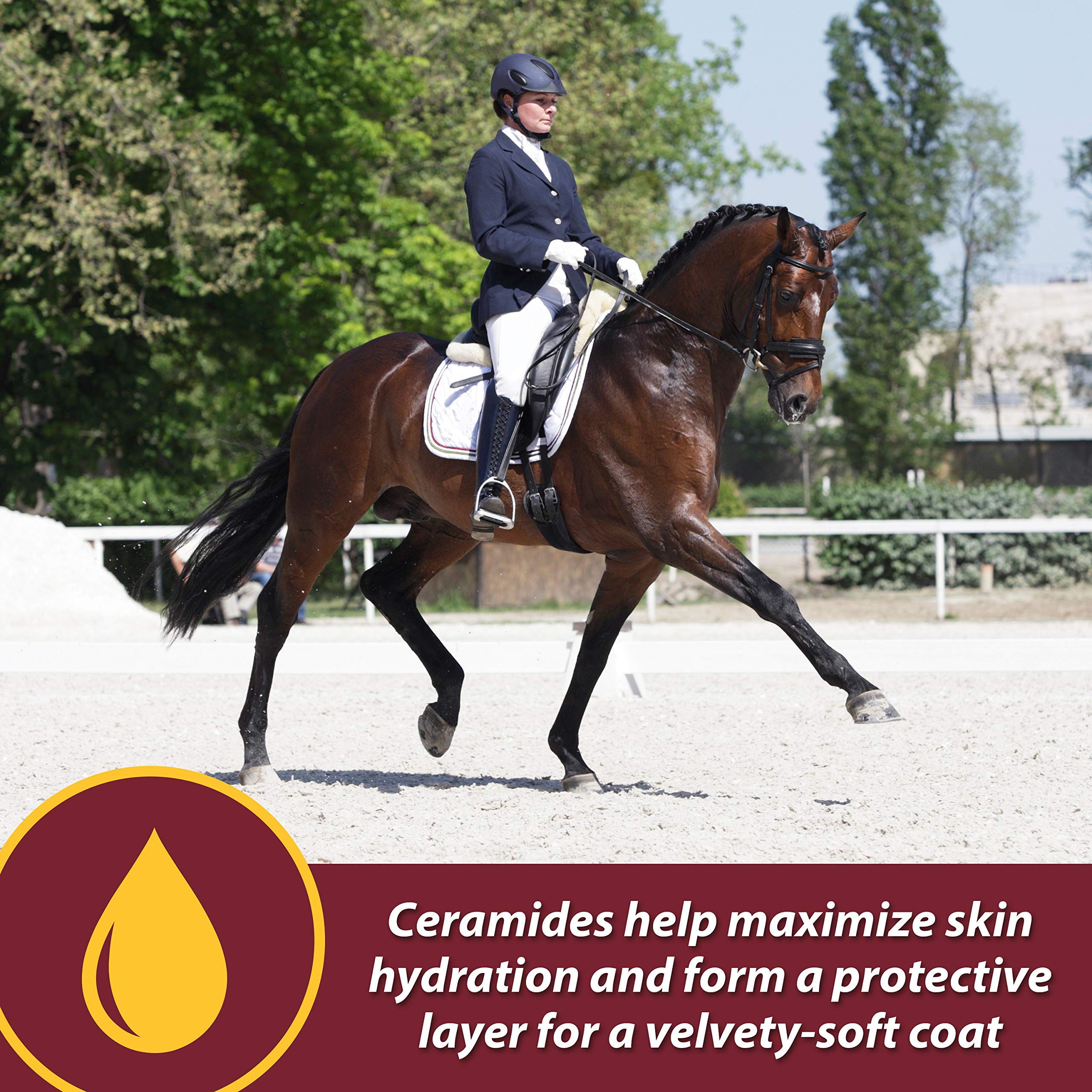 Farnam Laser Sheen Skin & Coat Supplement for Horses, Promotes Healthy Skin & Radiant Coat from The Inside Out, 3.75 Pounds 30 D