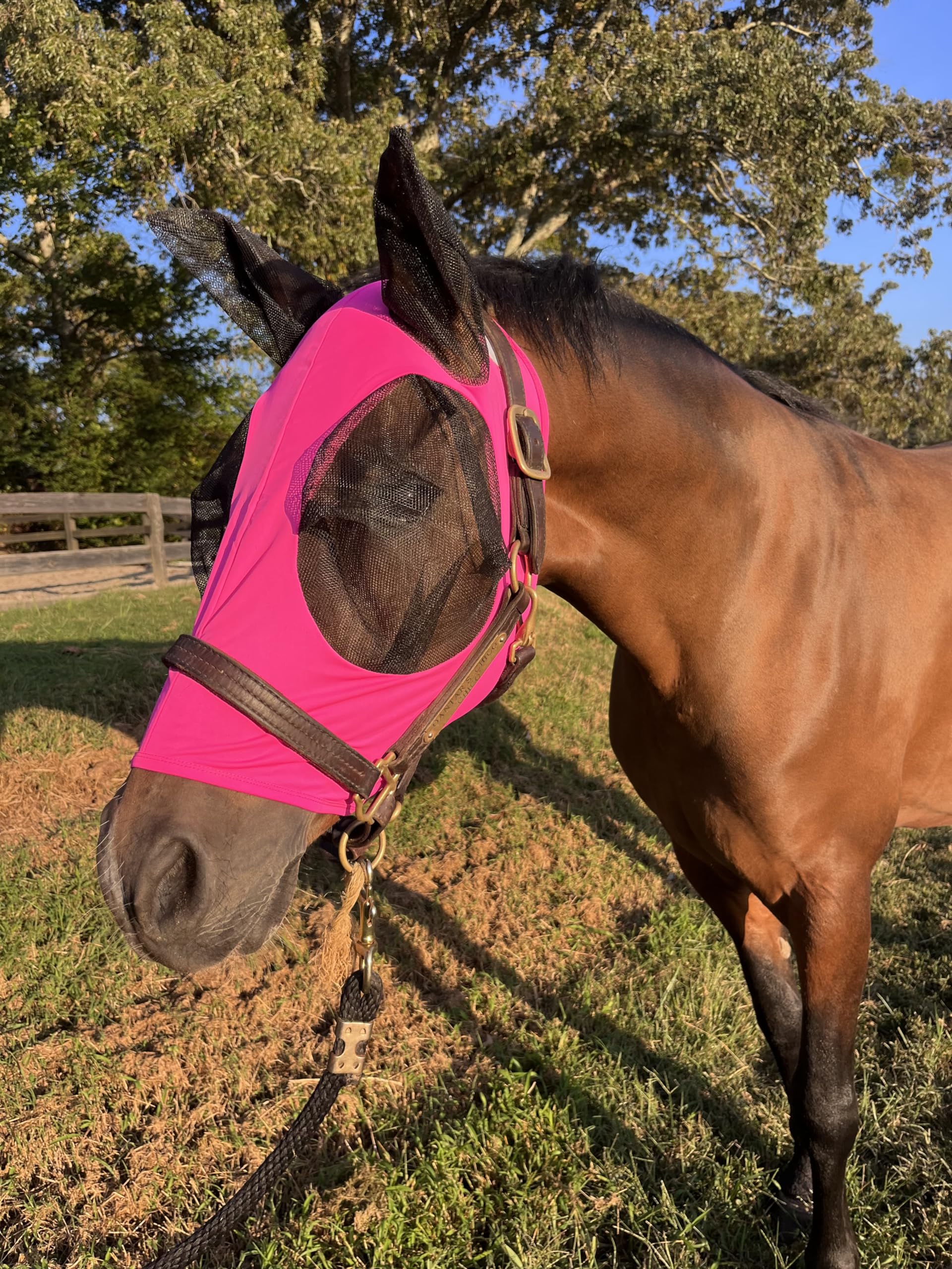 Stretchy Horse Fly Mask with Ears Comfort Fit Mesh Trail Pasture Sun UV Protection (Horse, Pink)