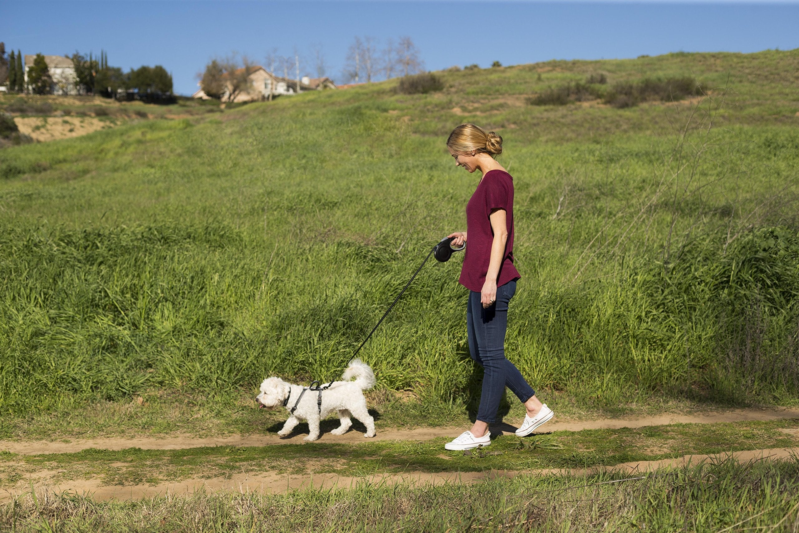 Halti Retractable Leash For Dogs - Strong & Reflective Extendable Leash, Soft Gel Grip Handle, Easy To Use Brake & Lock. Suitable For Small Dogs And Puppies (Size Small, Black, 3M)