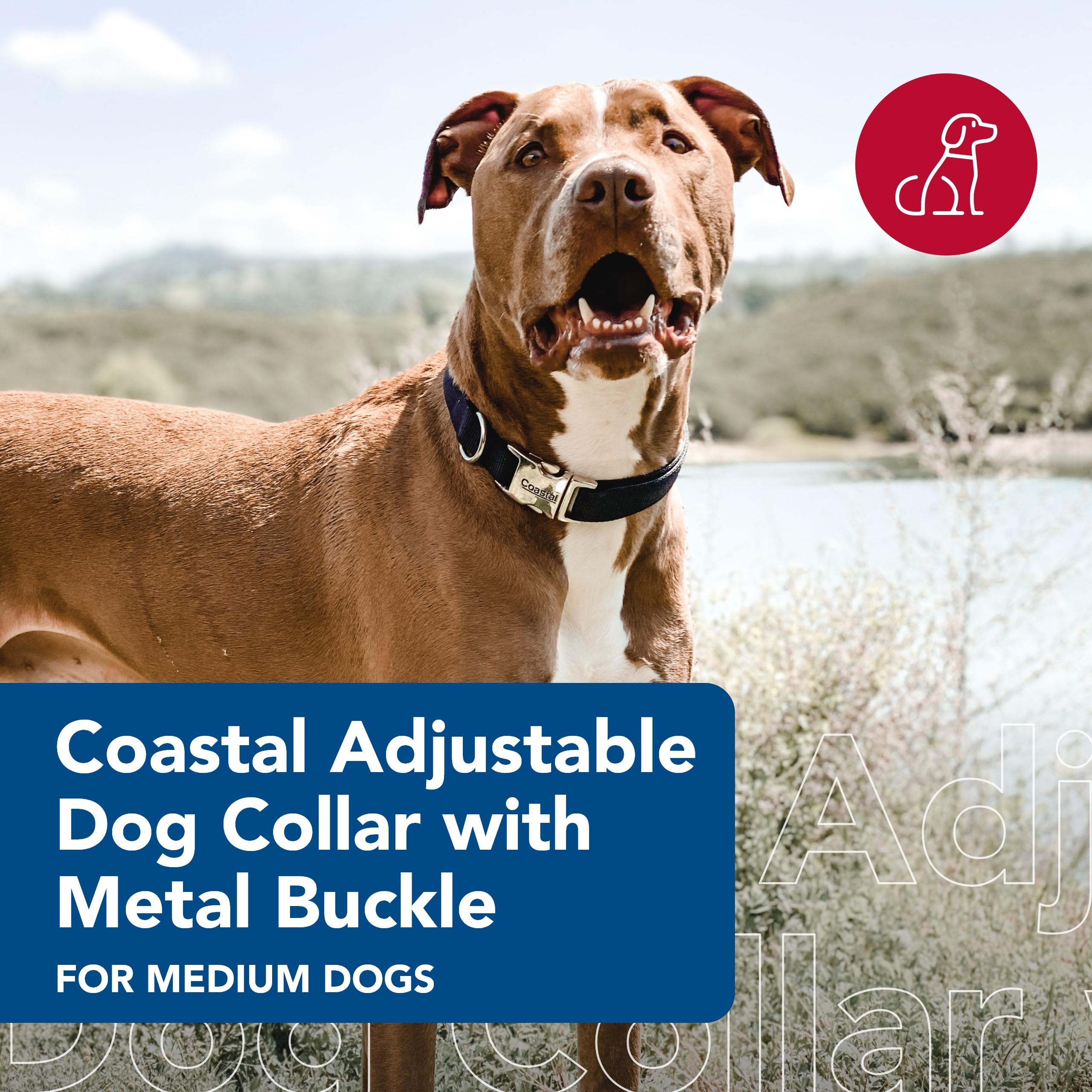Coastal Pet Adjustable Dog Collar With Metal Buckle - Comfortable Fade-Resistant Dog Collar With Snap Lock - Perfect For Walking & Tie Outs - Black, 3/4' X 14' X 20'