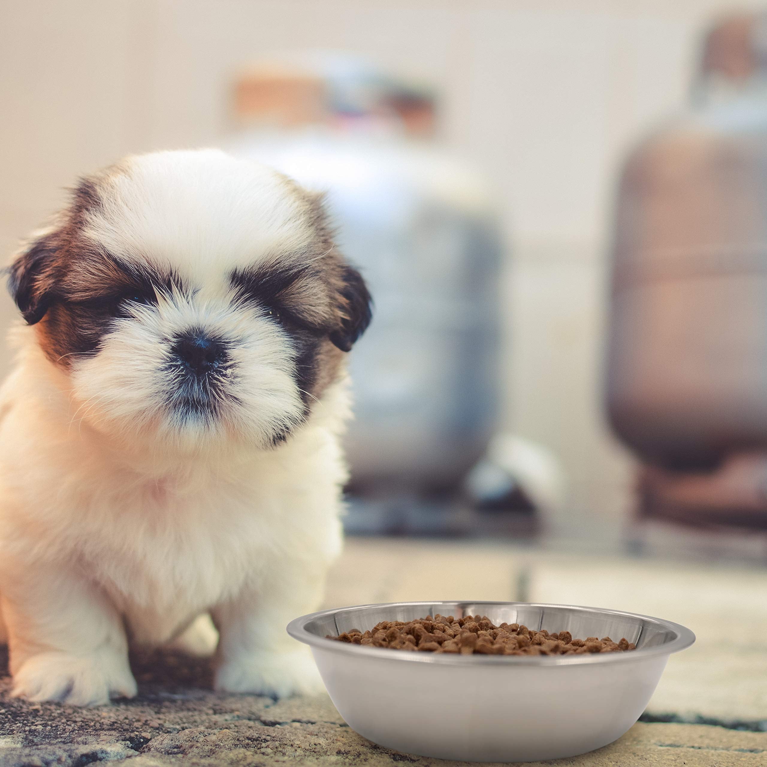 Dog Bowls Cat Bowls (Stainless Steel Bowls, 4-Pack)