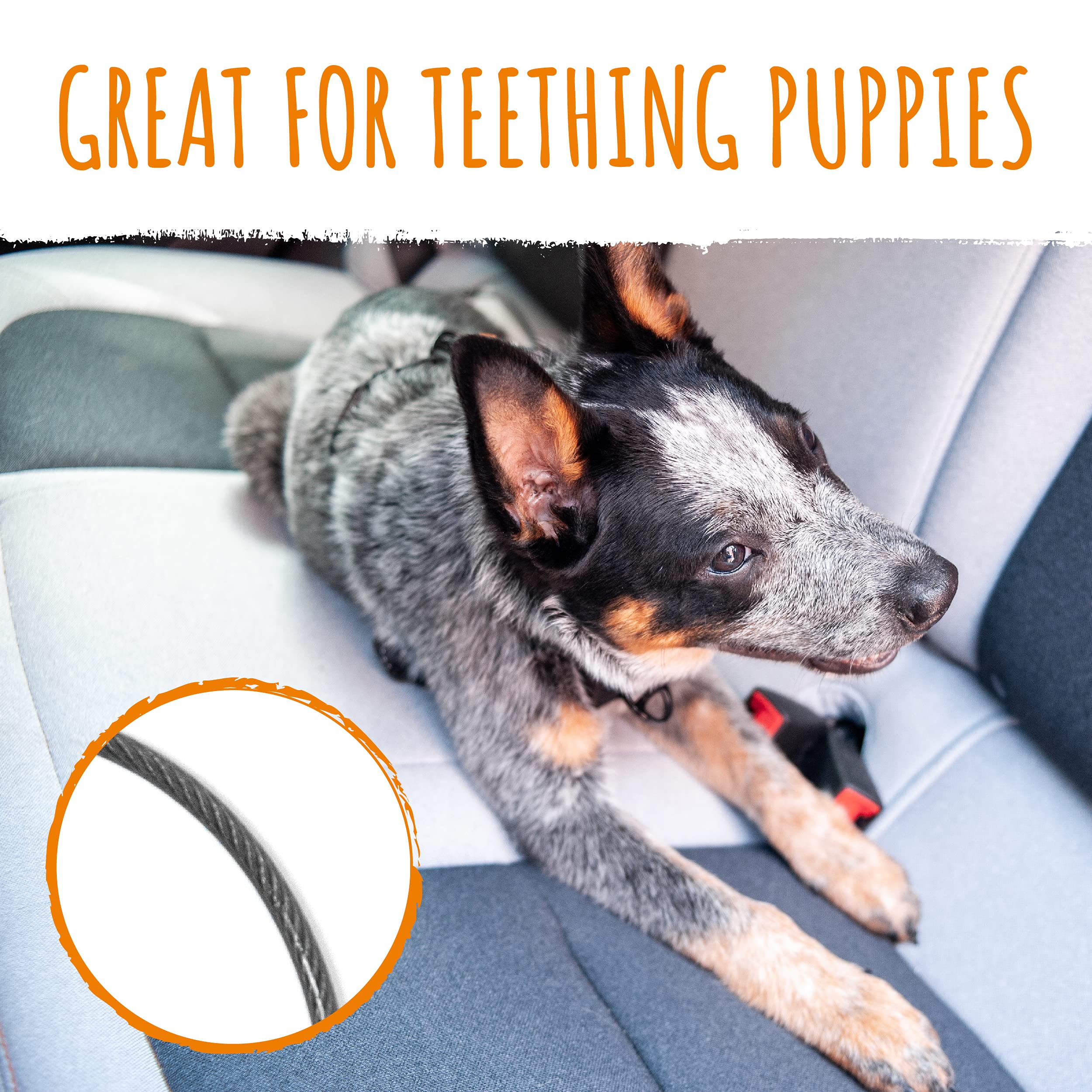 Mighty Paw Dog Seat Belt - Chew Proof Metal Pet Safety Belt, Steel Braided Vehicle Restraint, No Chew Tether Seatbelt With Rock