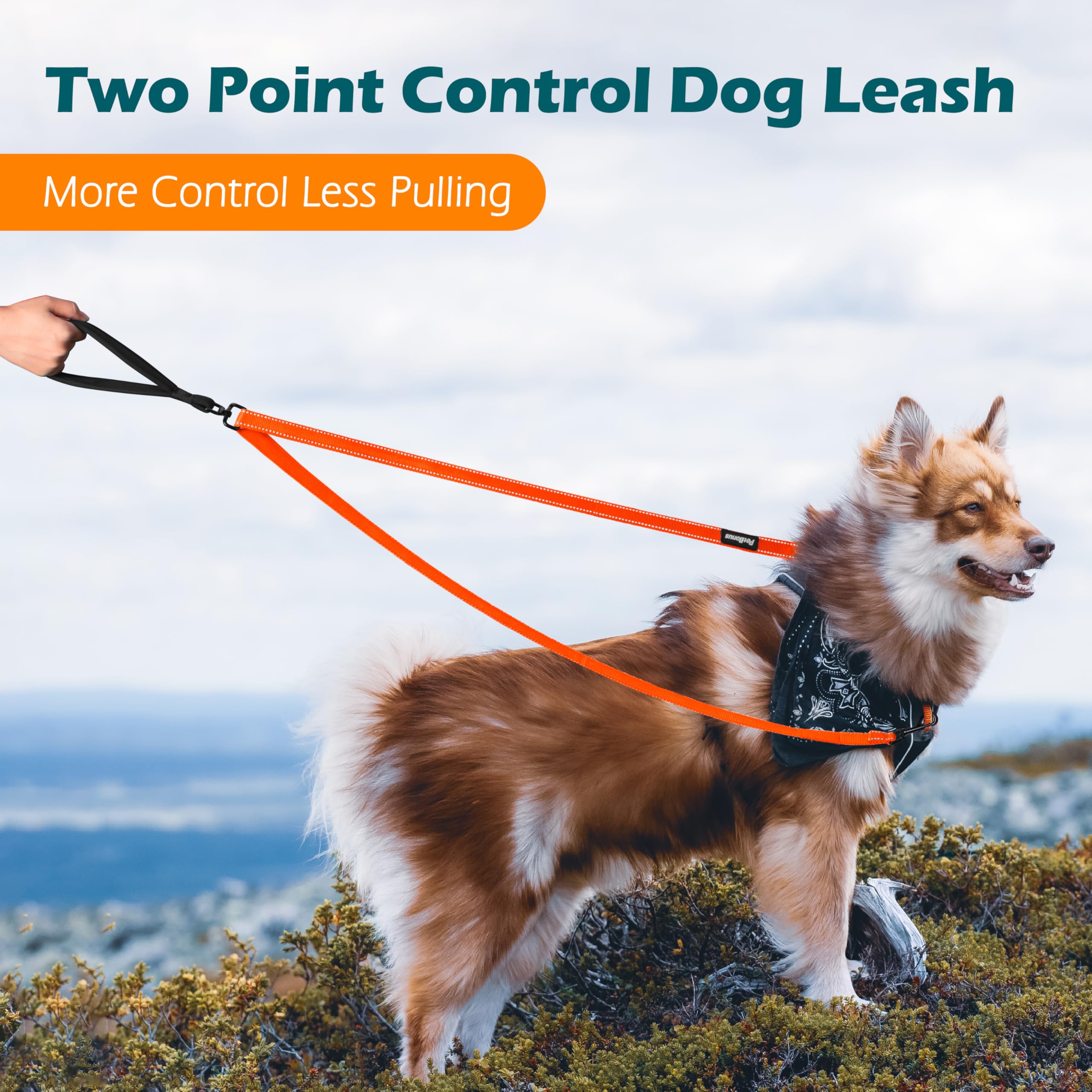 Petbonus Two Point Control Dog Leash, Works With No Pull Harnesses, No Tangle Training Leashes, Soft Padded And Reflective Walki