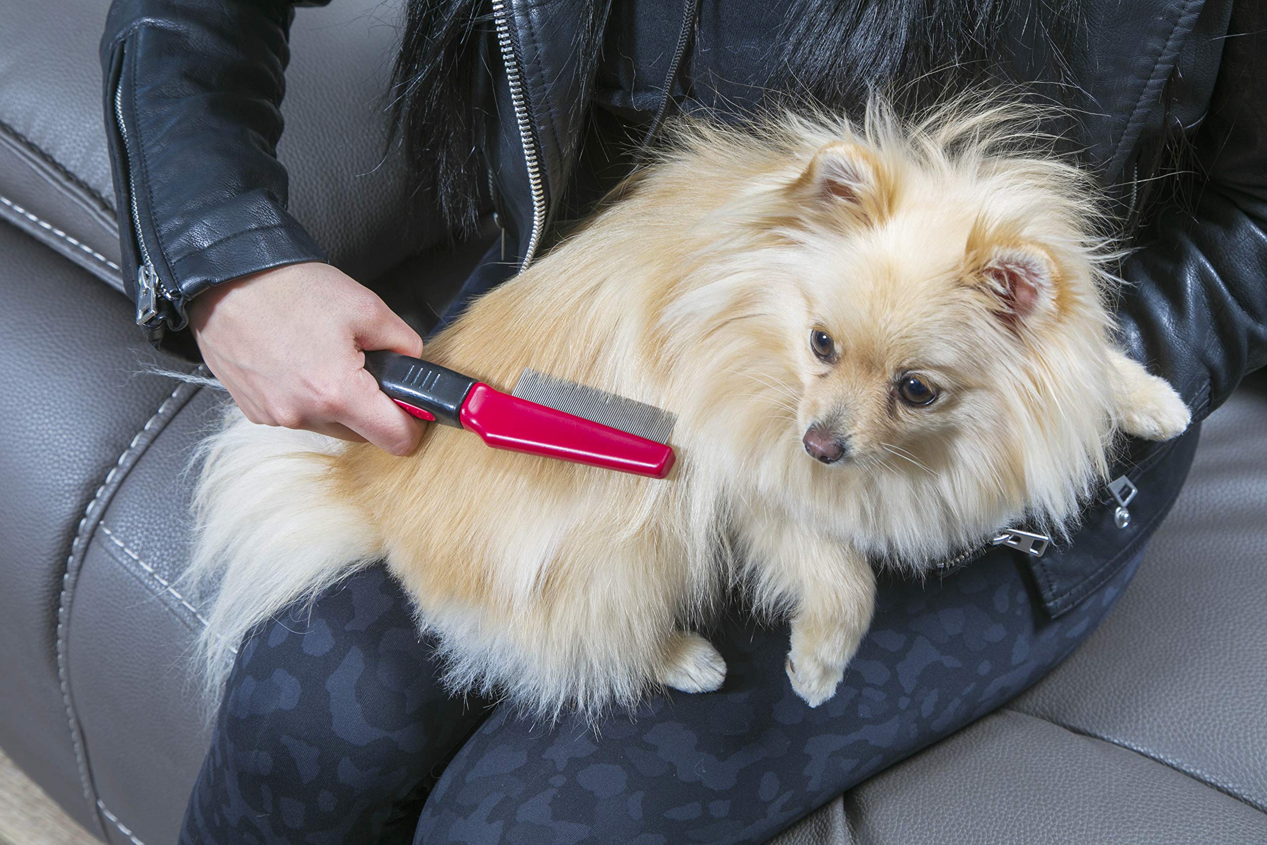 FURemover Grooming Brush & Comb Set, Suitable for All Coats, Includes One Flea Comb and One Dual-Sided Brush with Soft Bristles