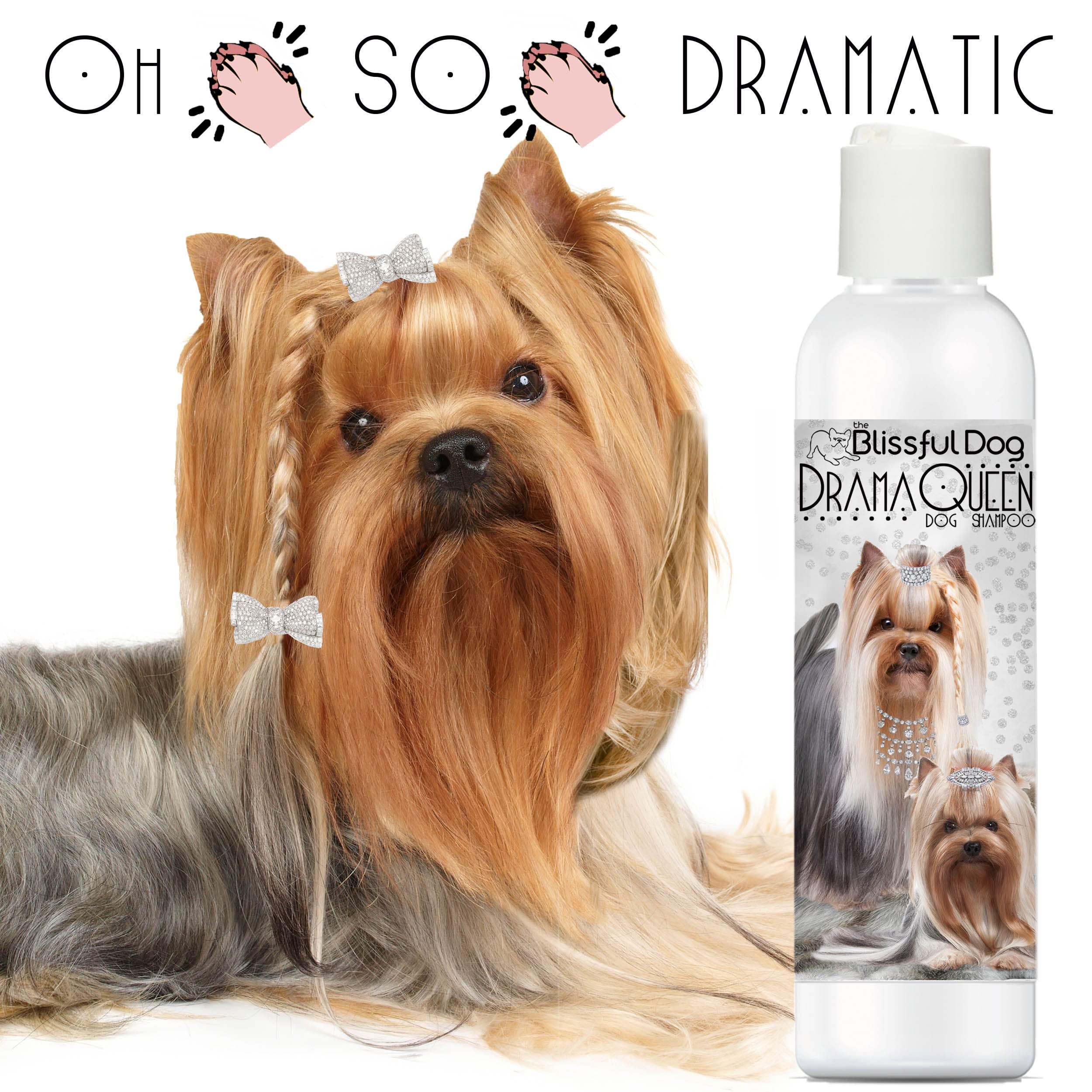 The Blissful Dog Drama Queen Luxury Dog Shampoo - Yorkshire Terrier, Nourishing Pet Supplies, Dog Grooming Supplies For Soft, Silky, Shiny Coat, Moisturizing Puppy Shampoo, 8 Oz.