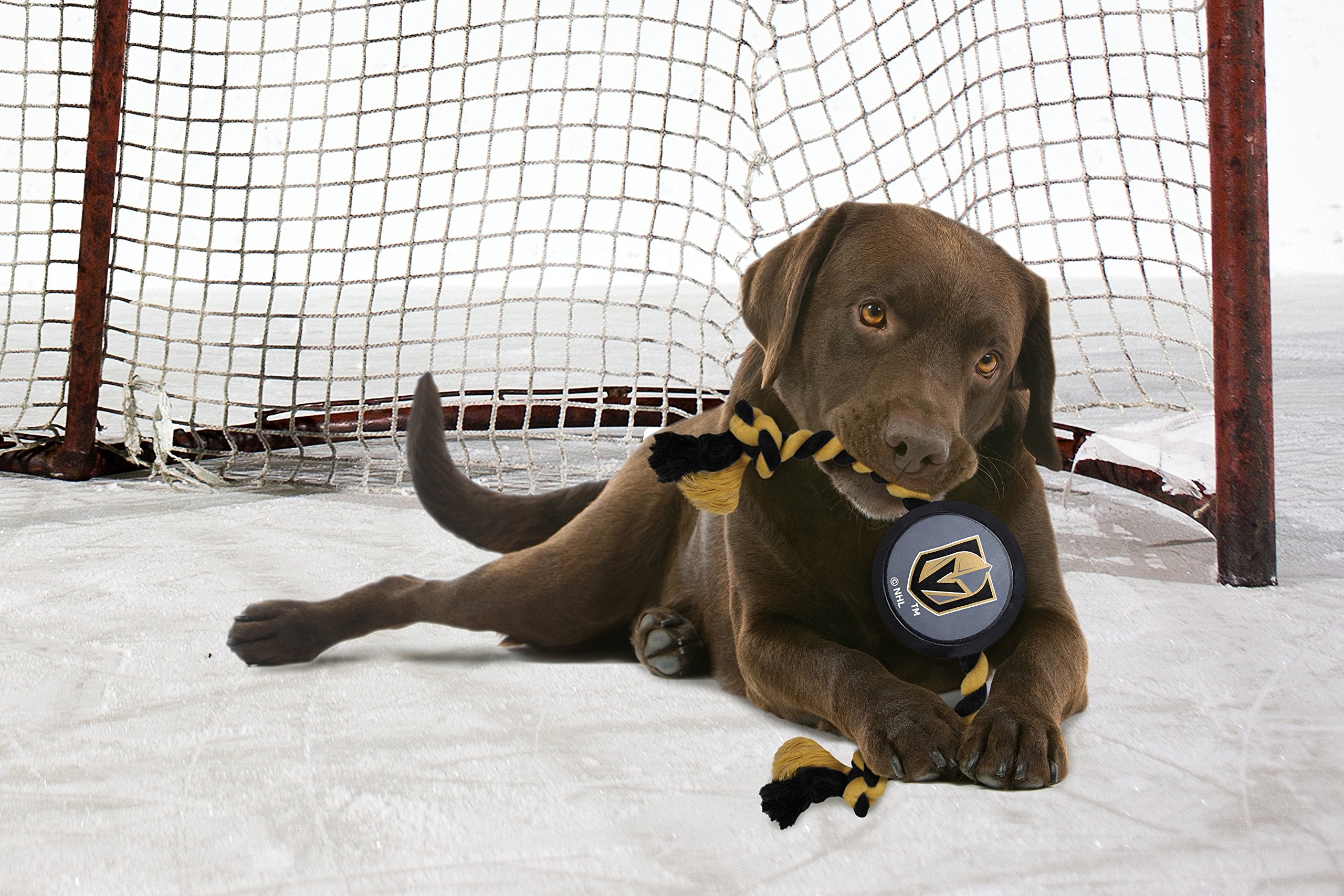 Pets First Nhl Las Vegas Golden Knights Puck Toy For Dogs & Cats. Play Hockey With Your Pet With This Licensed Dog Tough Toy Rew