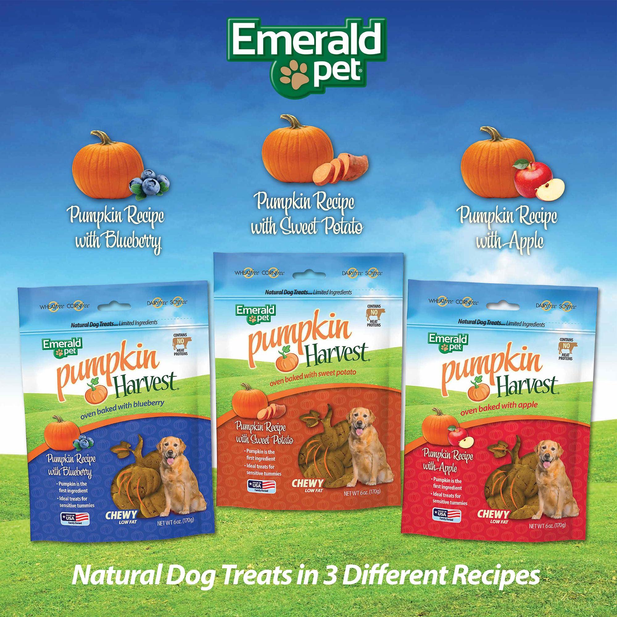 Emerald Pet Pumpkin Harvest Pumpkin Dog Treats - Low-Fat Chewy Natural Dog Treats with Pumpkin for Digestive Health - Meat Free,