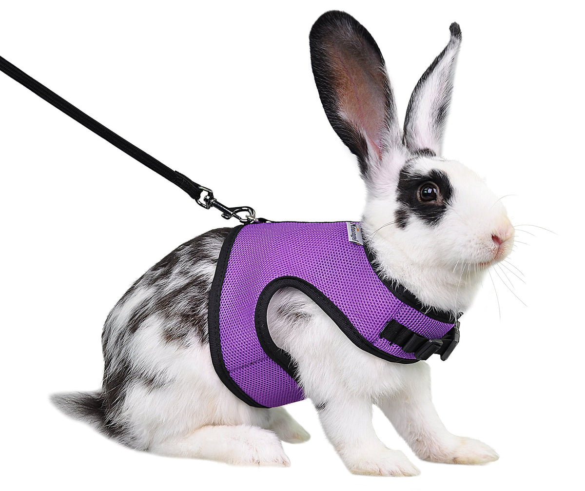 Niteangel Adjustable Soft Harness With Elastic Leash For Rabbits (Xl, Purple)