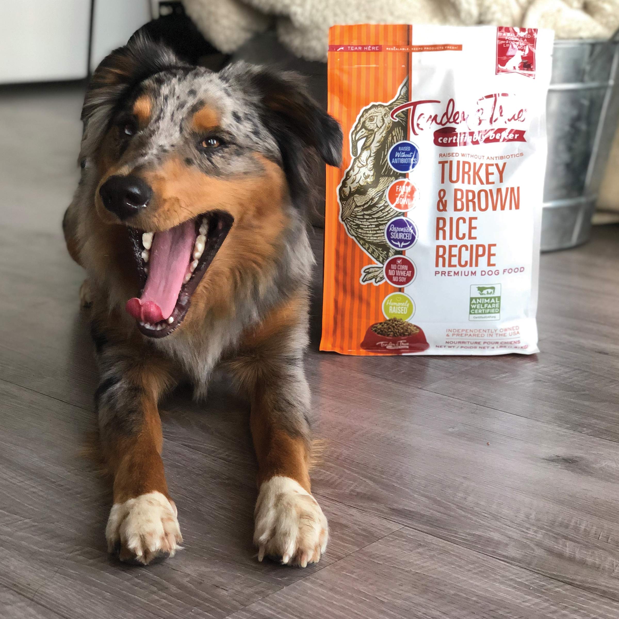 Tender & True Turkey & Brown Rice Recipe Dog Food, 4 lb - Antibiotic-Free, Premium Quality, Ideal for Dogs