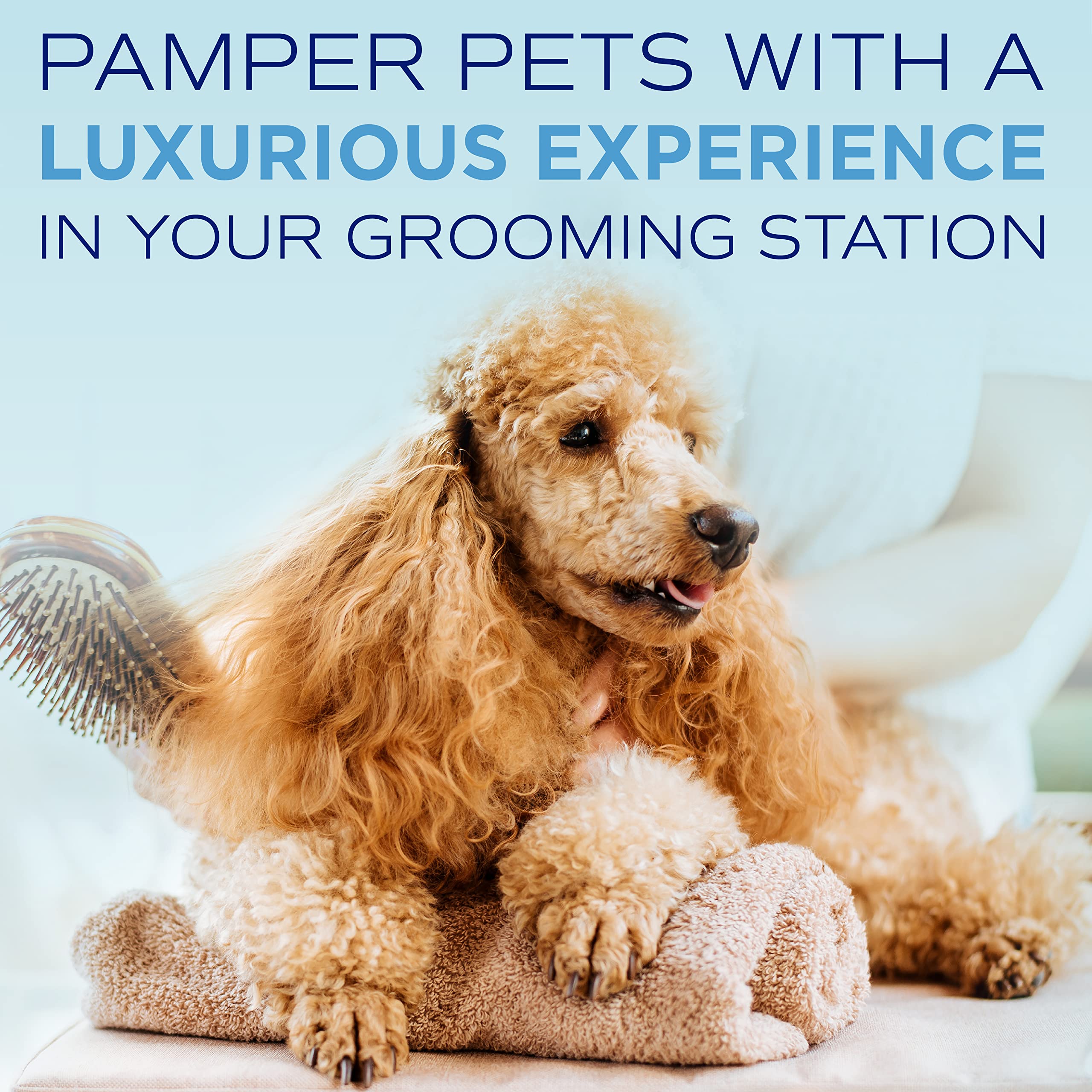 Tropiclean Spa Tear Stain Remover For Dogs | Blueberry Facial Shampoo | Odor Eliminator | Tearless | Whitening And Brightening | Made In Usa | 1 Gallon