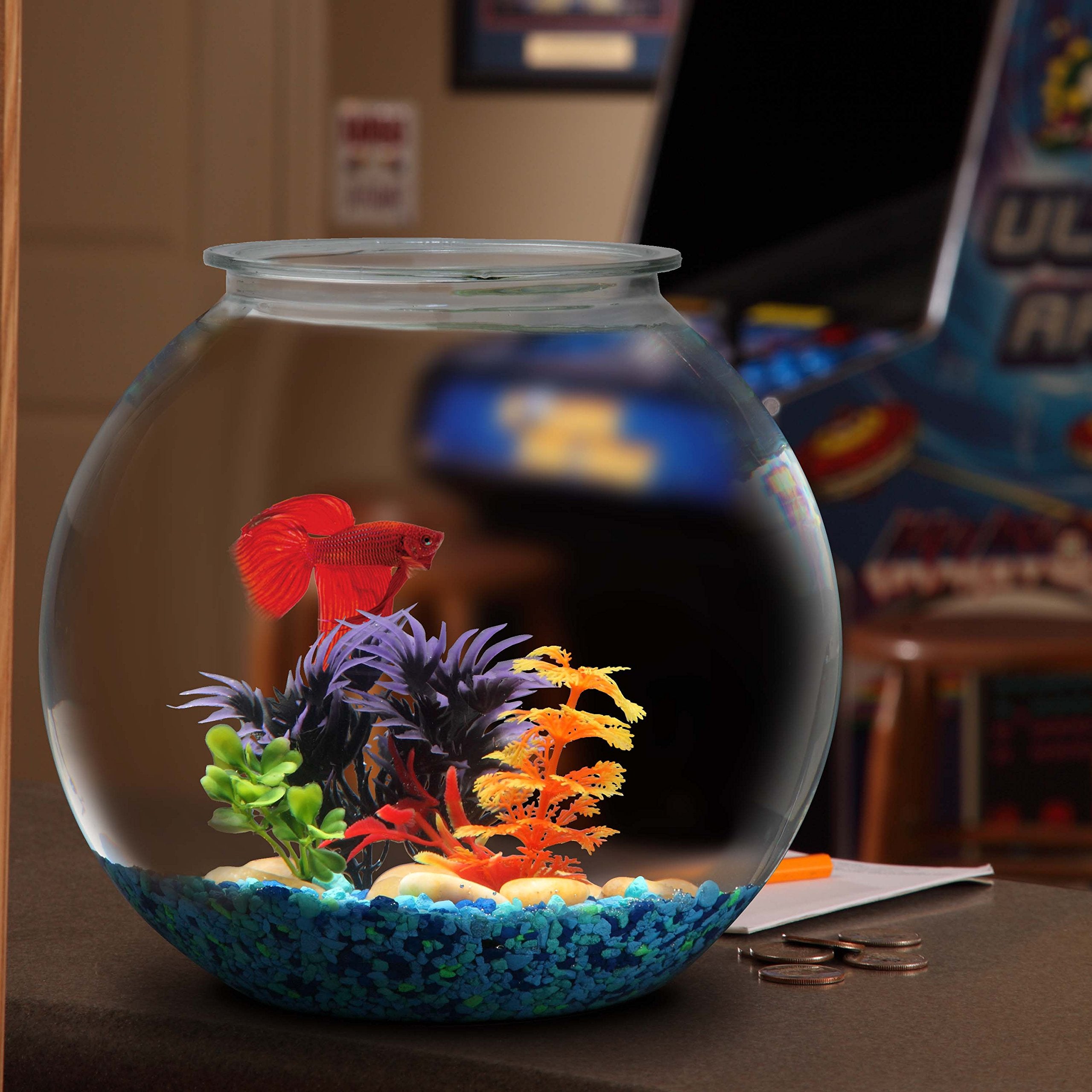 Aquatic Wonder 1 Gallon Fish Bowl: Round Crystal Clear Plastic is Break-Resistant and Light Weight. Ideal for Betta Fish Aquariu
