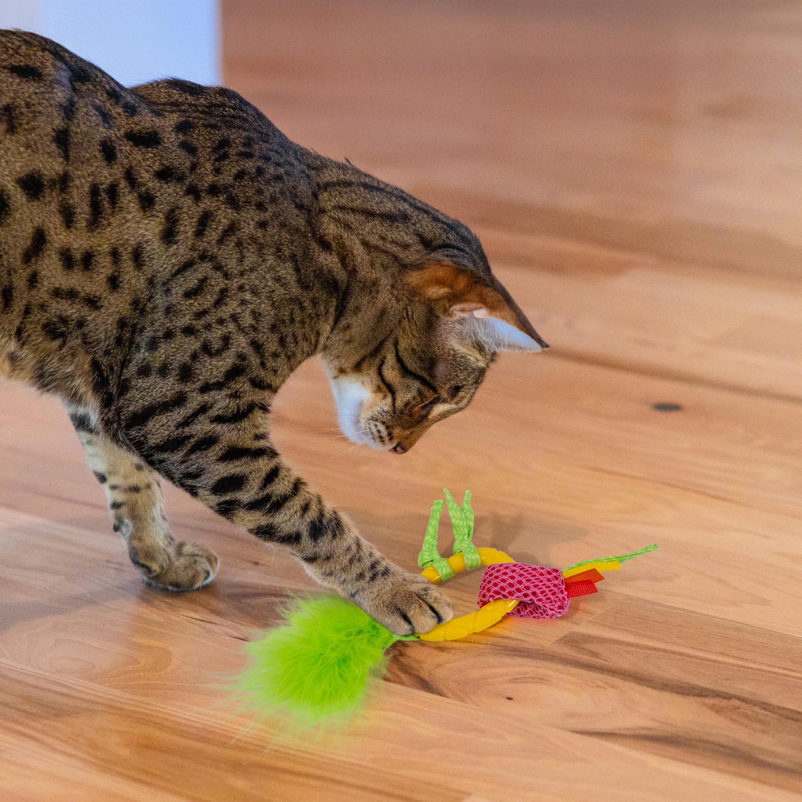 Catstages Dental Pineapple Teether - Chew Toy for Cats and Kittens - Textured Fabric and Mesh - Coated in Catnip Oil - Supports