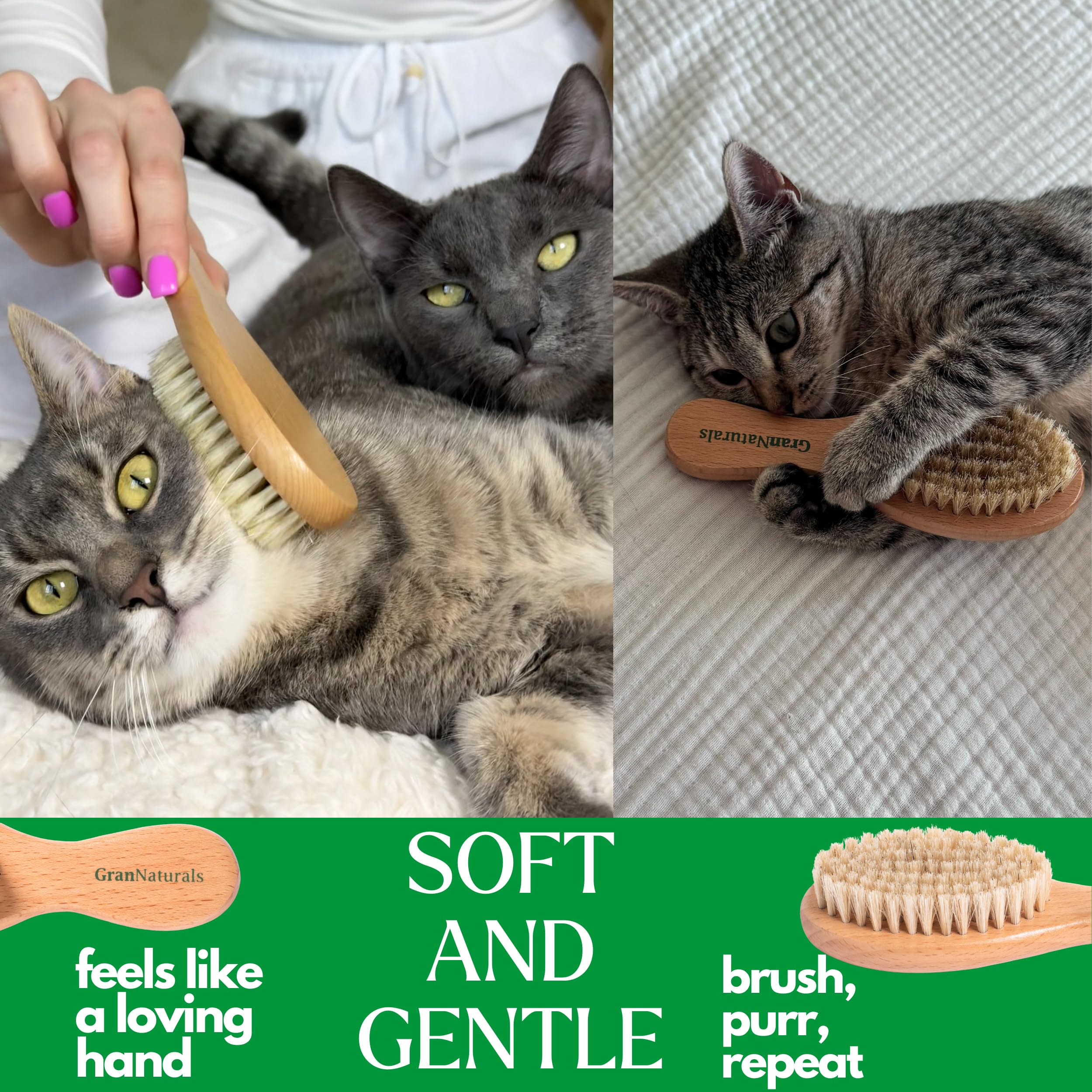 Grannaturals Boar Bristle Soft Cat Brush For Indoor, Outdoor, Short Haired Cats, Kittens, Small Dog, Rabbit, Furry Pets - Gentle