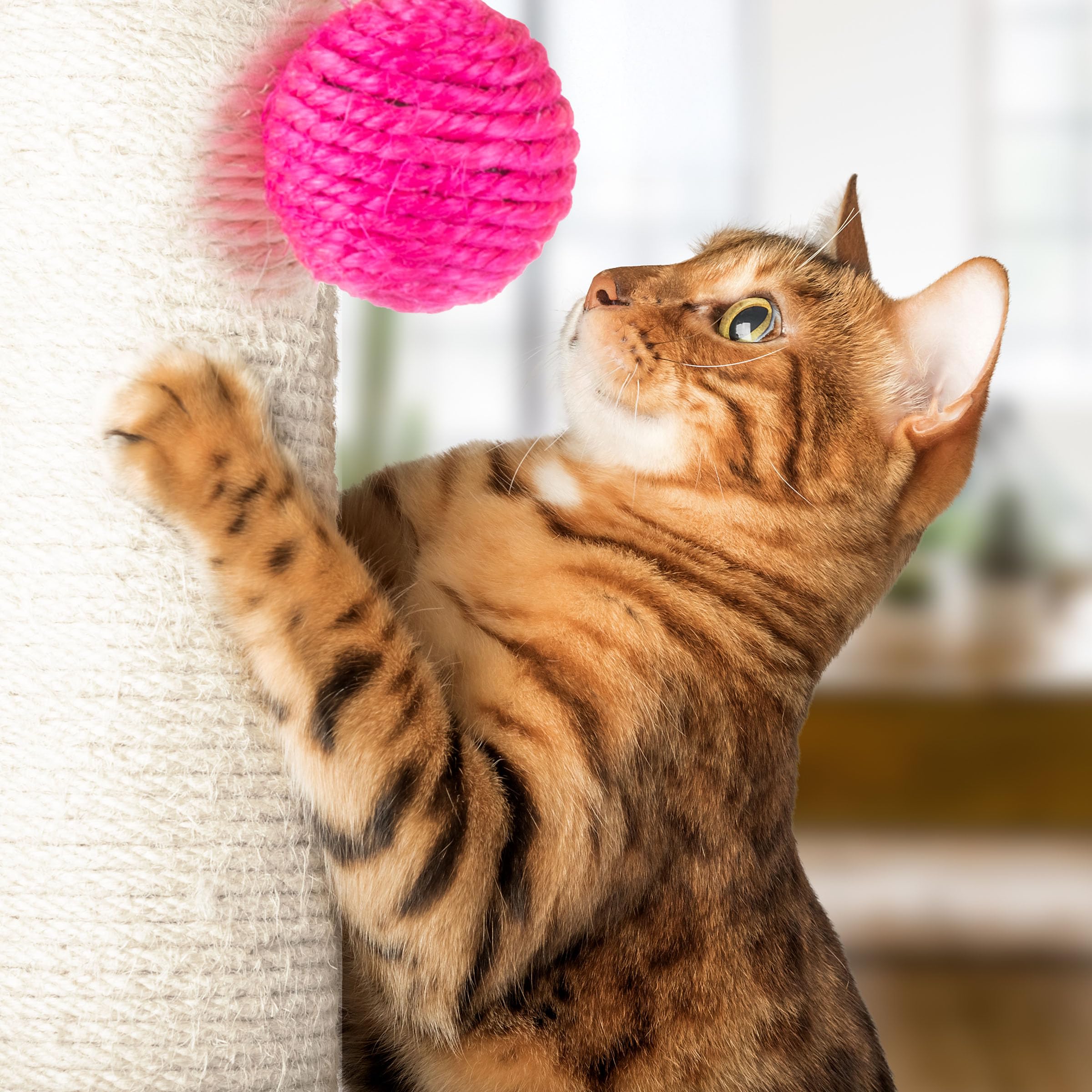 17-Inch Cat Scratching Post - Sisal Rope And Carpet Scratching Pole With Bright Pink Hanging Ball Toy For Adult Cats And Kittens By Petmaker (Gray)