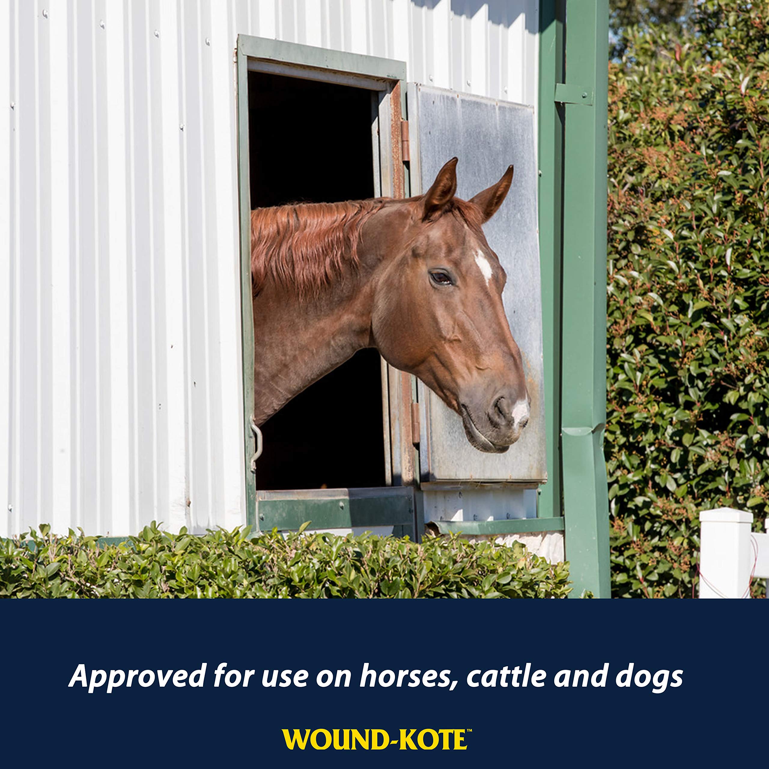 Farnam Wound-Kote Blue Lotion Spray Horse Wound Care for use on Horses and Dogs, Antiseptic Properties, for Minor Wounds, Cuts a