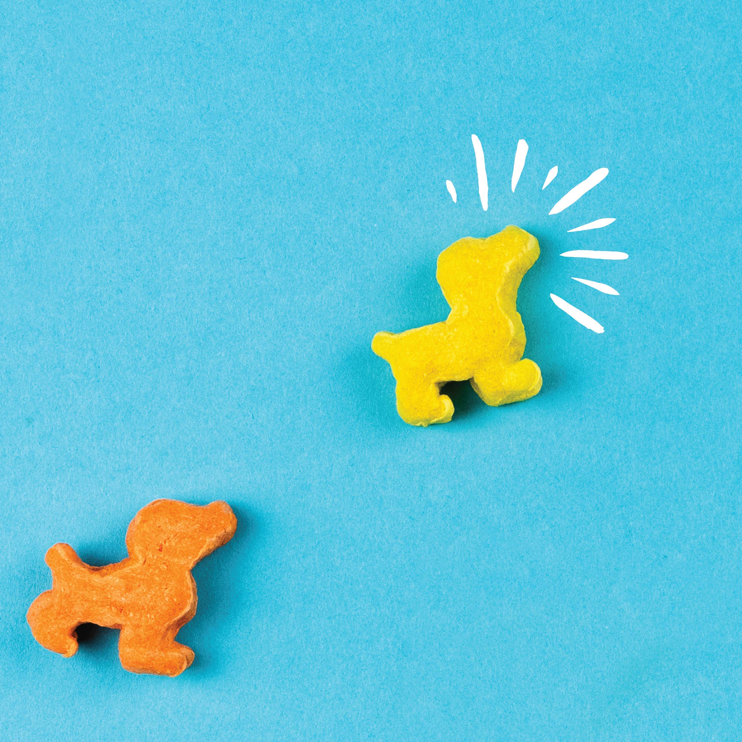 Pup Corn Plus - Puffed Dog Treats with Prebiotics and Probiotics - Chicken & Cheddar Cheese (16oz) - Made in USA