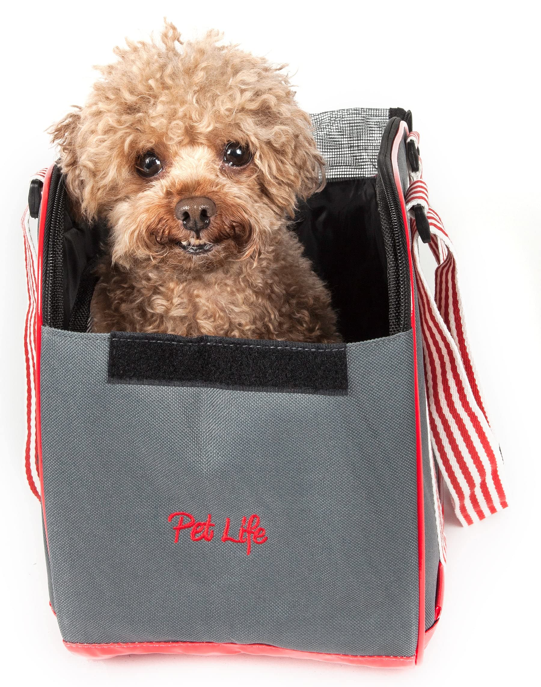 Pet Life Candy Cane Tote Pet Carrier for Dogs with Striped Shoulder Straps - Fashion Dog Carrier with Built-in Leash Holder