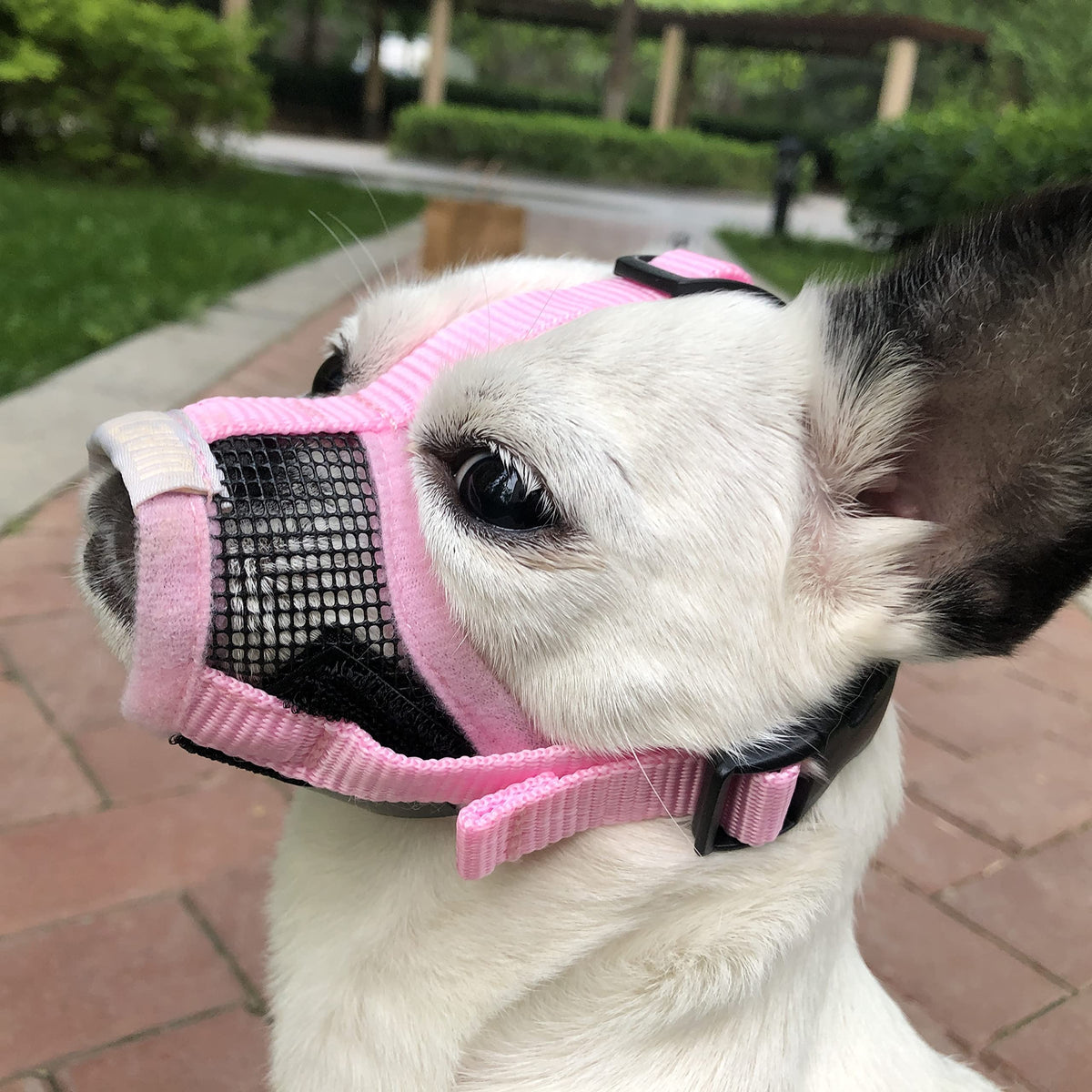 Moiilavin Small Dog Muzzle Xs For Grooming Barking Chewing, Barkless Soft Mesh Muzzles To Prevent Eating Poop Things,Best For Aggressive Dogs (Crystal Pink)
