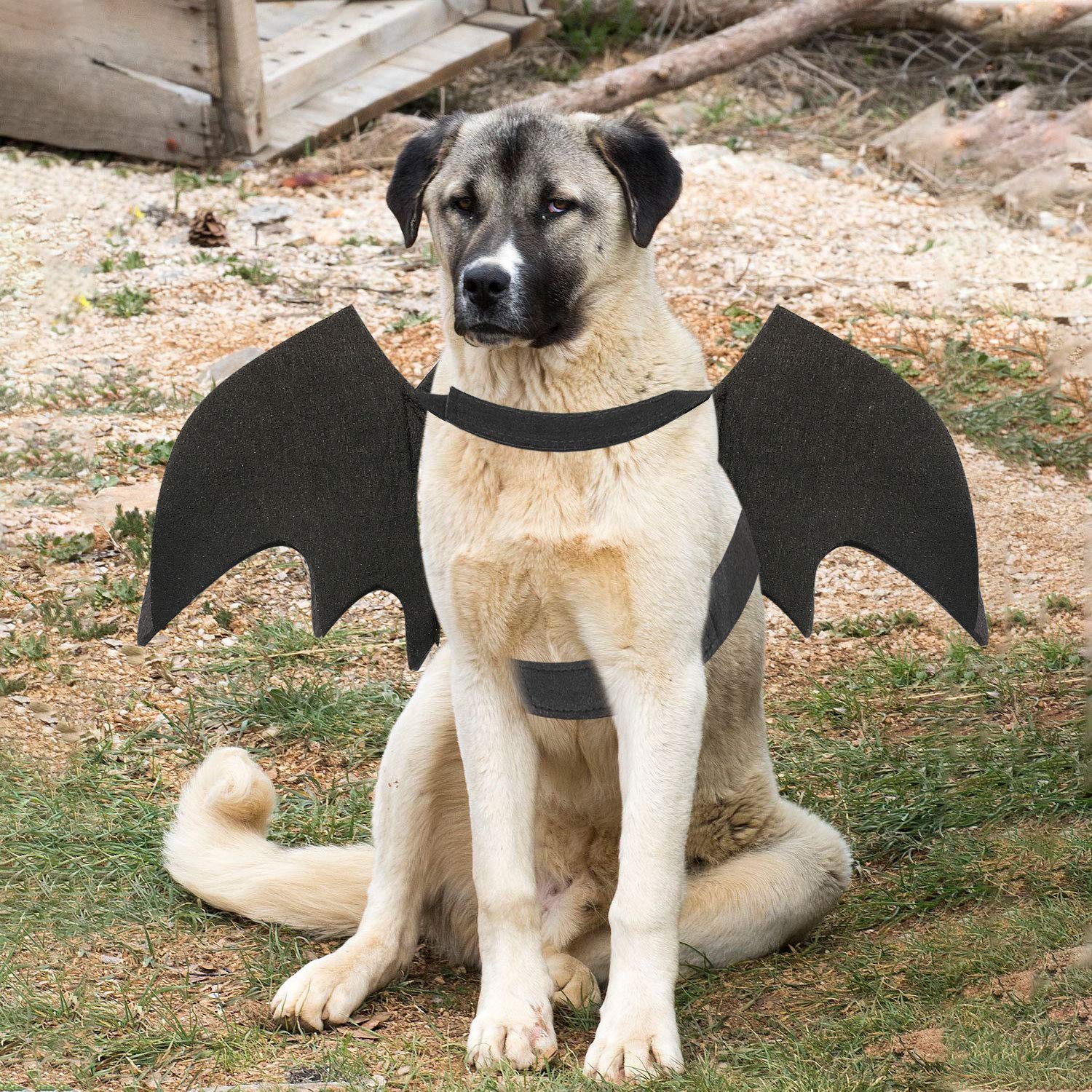 Rypet Dog Bat Costume - Halloween Pet Costume Bat Wings Cosplay Dog Costume Cat Costume For Party L