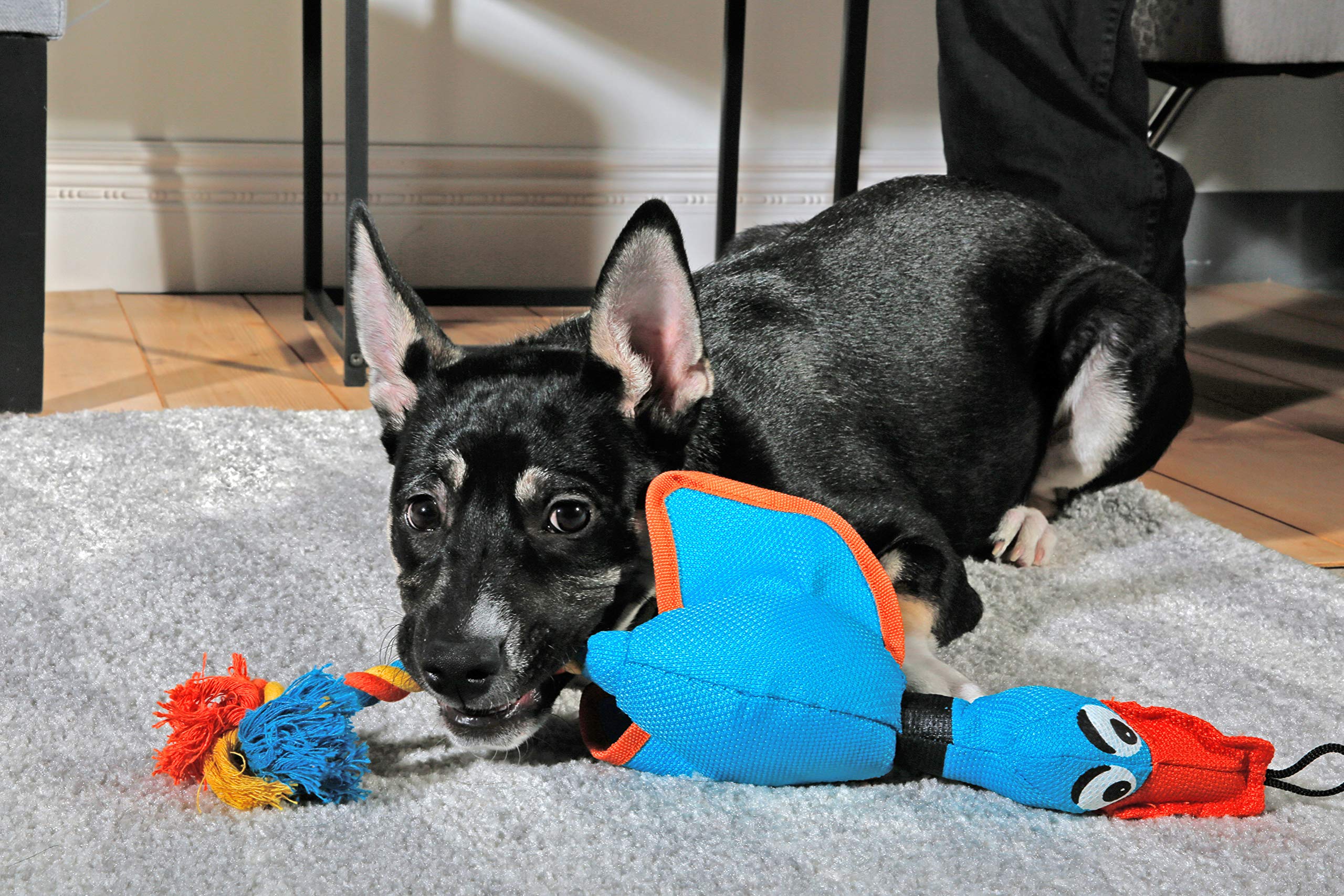 Hartz Tuff Stuff Nose Divers Plush Duck Tug Dog Toy - Small