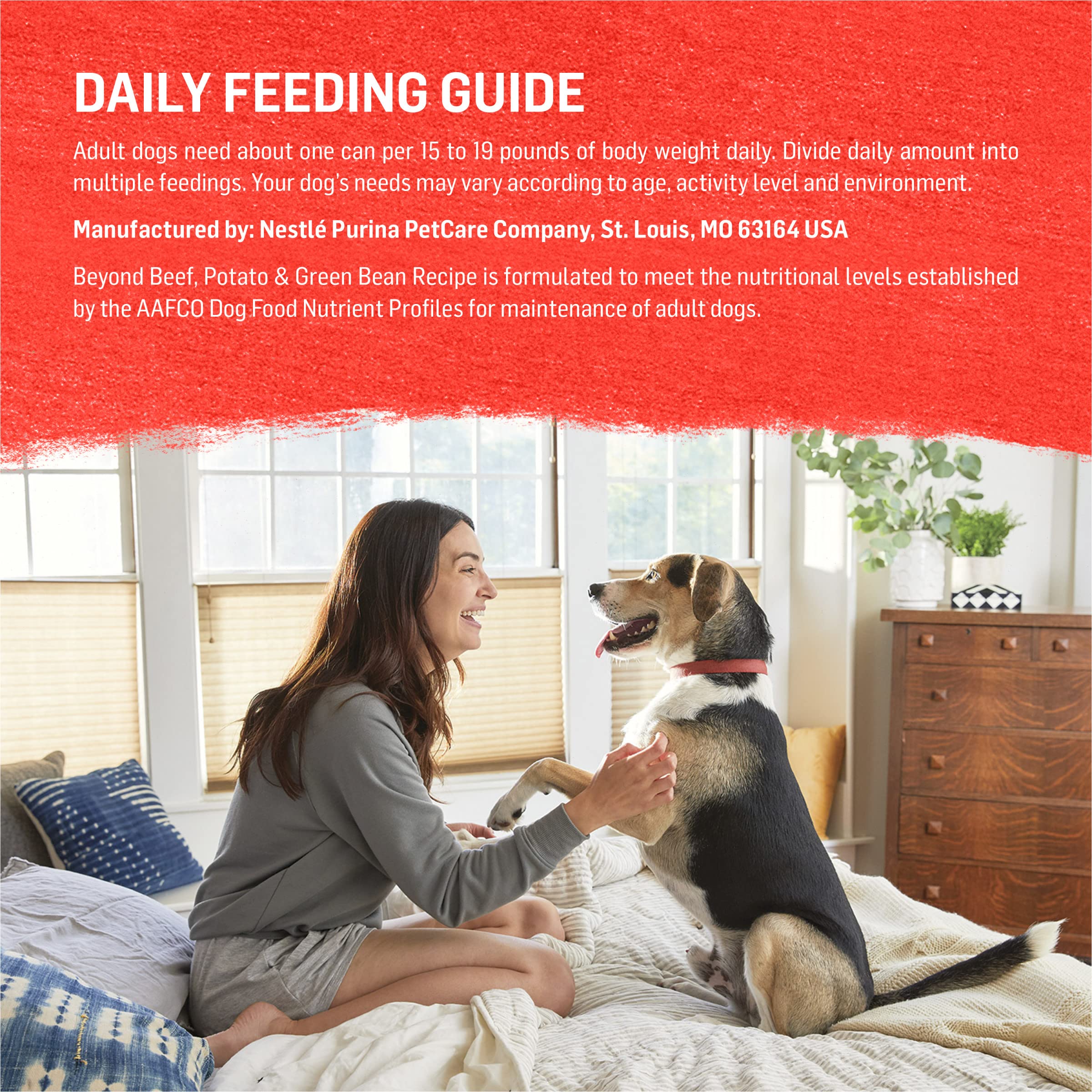Purina Beyond Beef, Potato, and Green Bean Grain Free Wet Dog Food Natural Pate with Added Vitamins and Minerals - (Pack of 12)