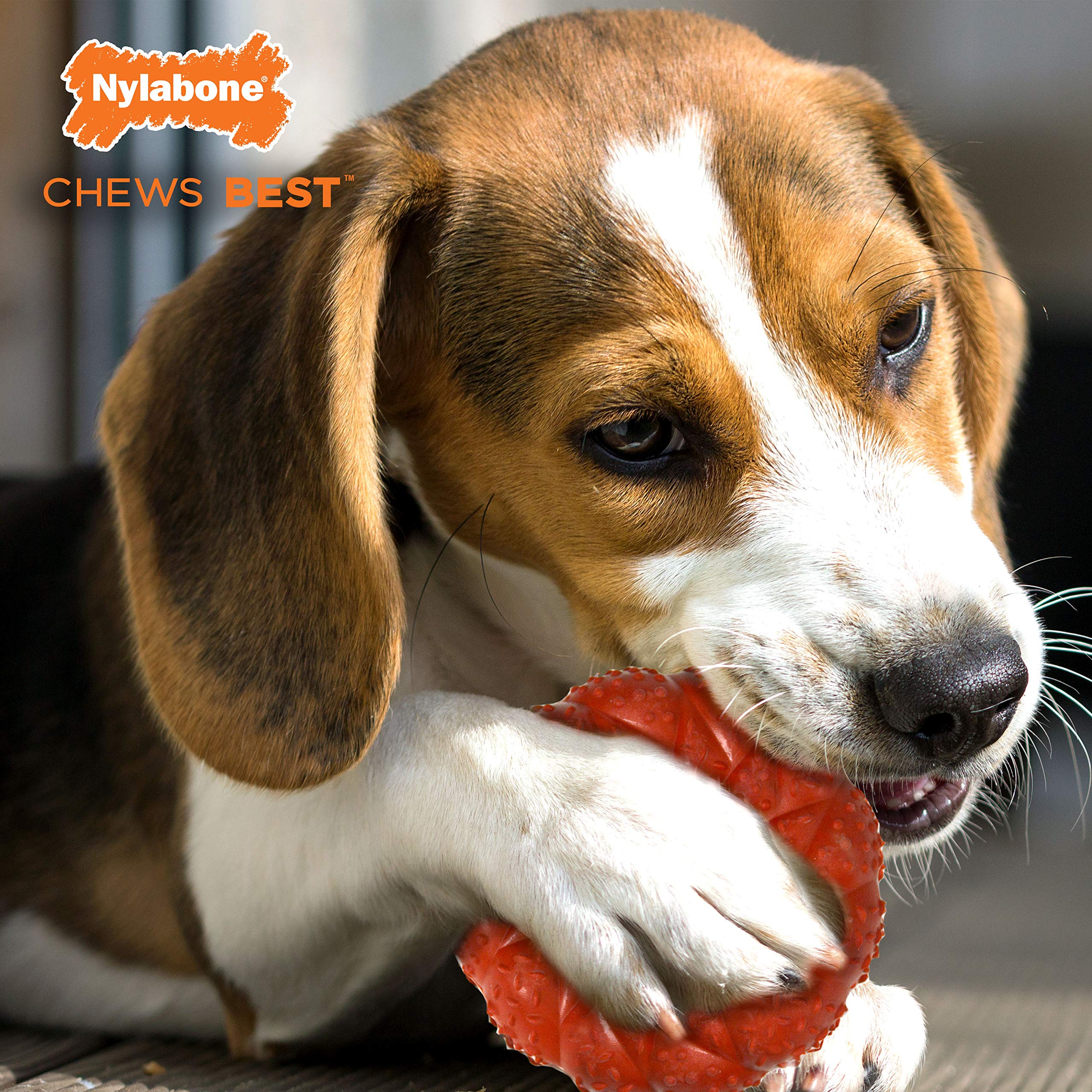 Nylabone Strong Chew Ring Braided Chew Toy For Dogs Beef Medium/Wolf (1 Count)