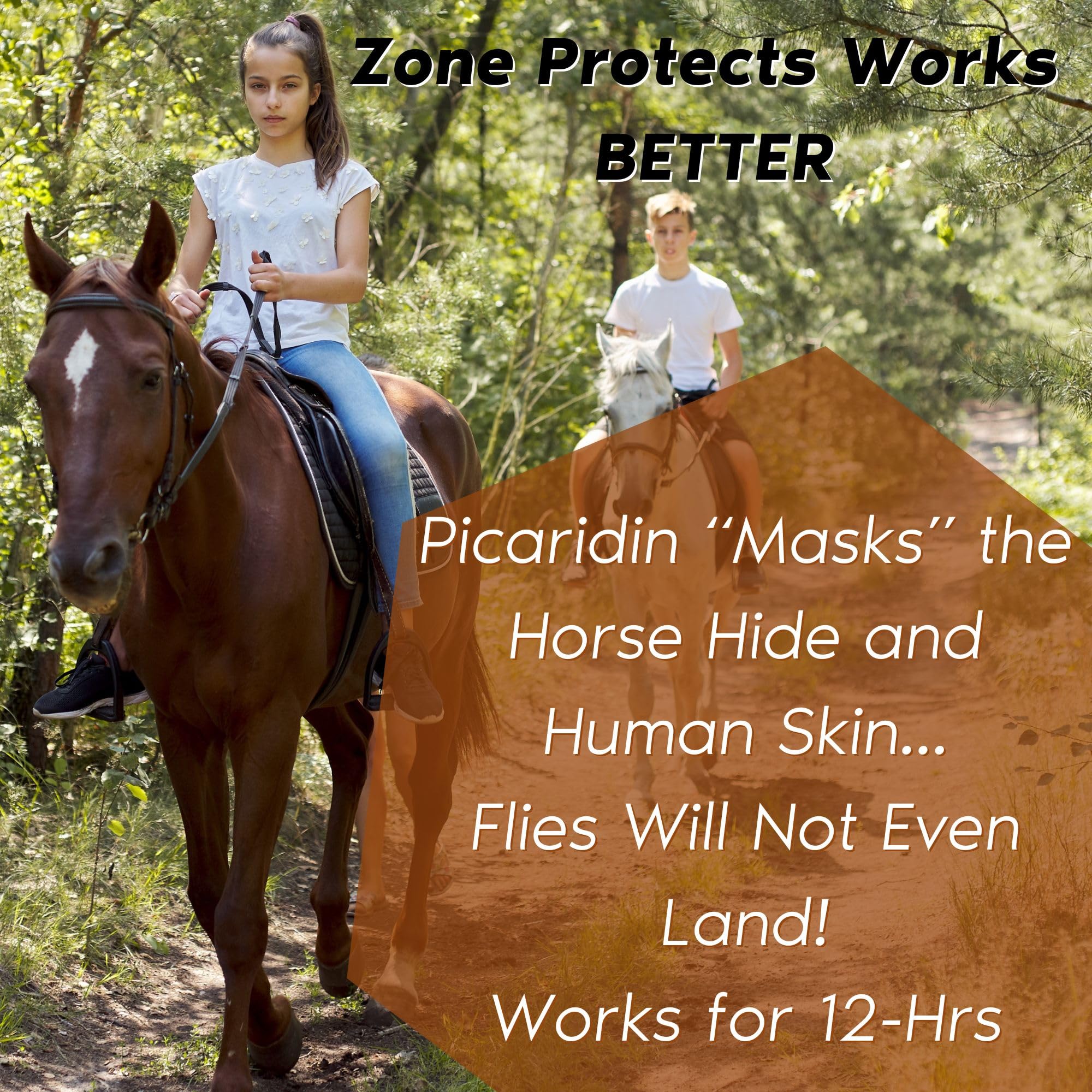 Zone Protects Horse & Rider Insect and Fly Repellent - 10oz Continuous Spray + 8oz Refill Combo, Picaridin-Based, DEET-Free, Per