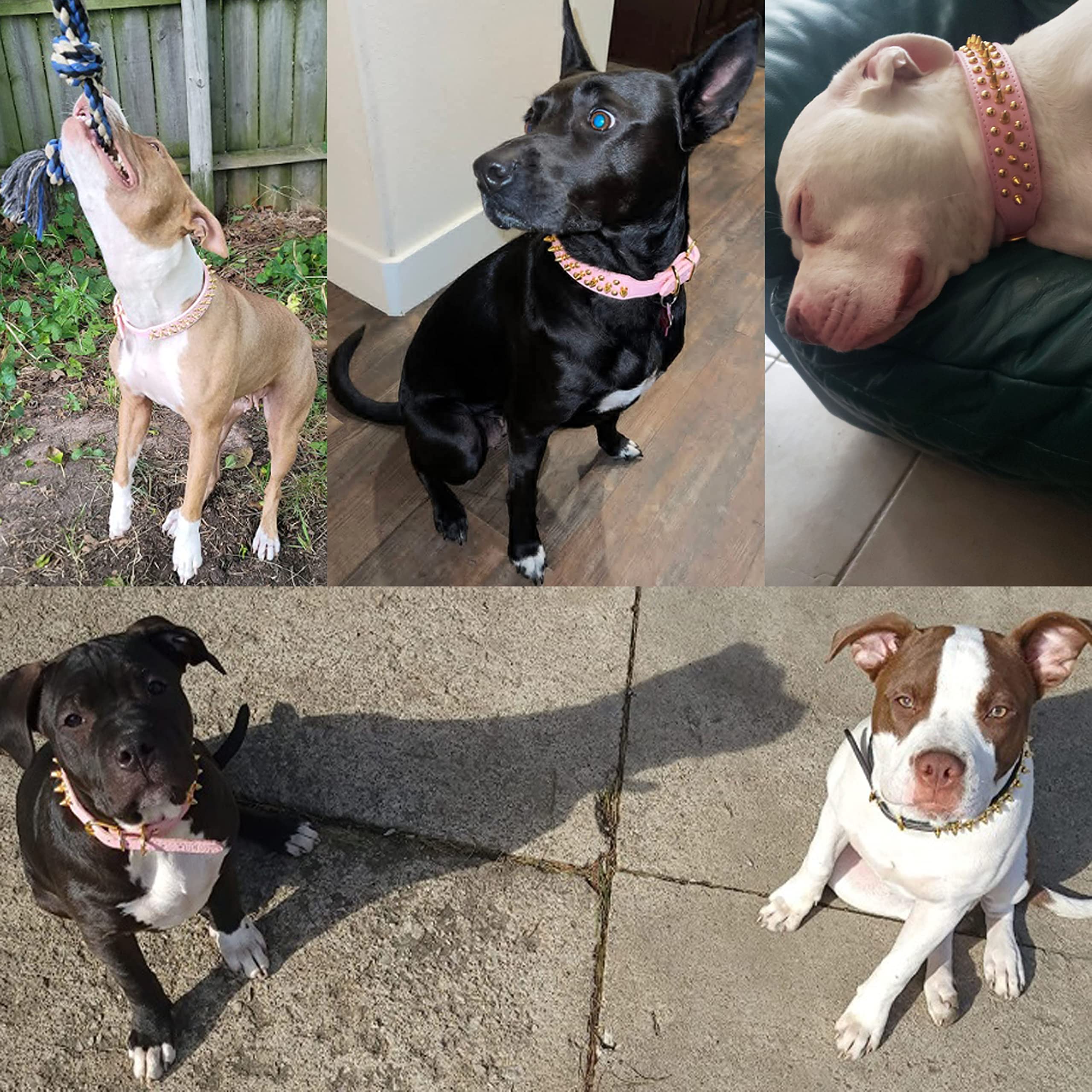 Teemerryca Pink Leather Gold Spiked Studded Dog Collar For Female Puppy Small Medium Large Pets, Pit Bulls Bulldog, Keep Dog Saf