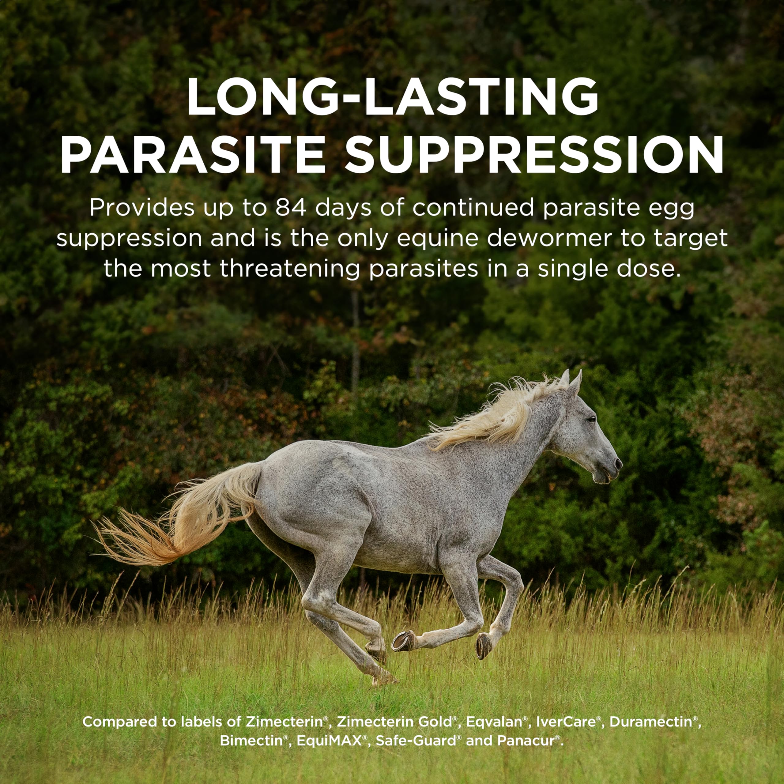 Quest Gel Moxidectin Horse Dewormer, Early Grazing Season recommended for Horses and Ponies 6 months and older, 0.5oz Sure-Dial