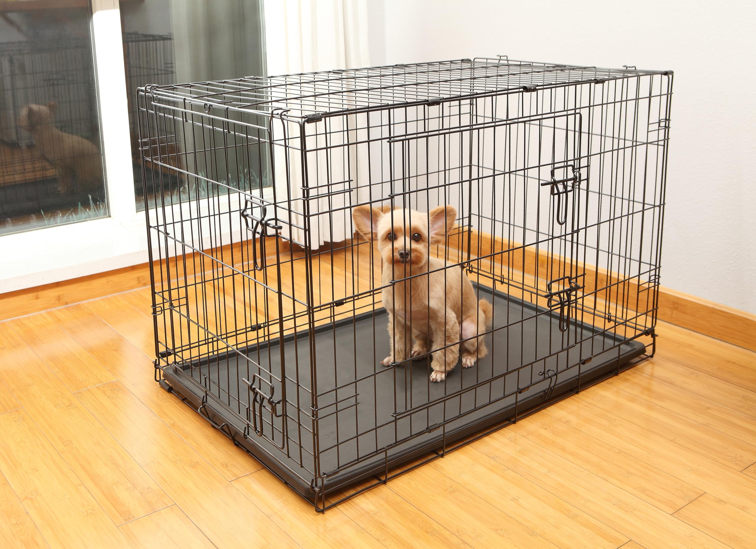 Shine Mount Dog Puppy Crate Large 36 Inch Black Metal Double Door Removable Abs Tray Folding Flat Cage Perfect Bed Training Pet Car Travel Easy Access Storage (Dog Crate Large 36 Inch/ Fast Delivery