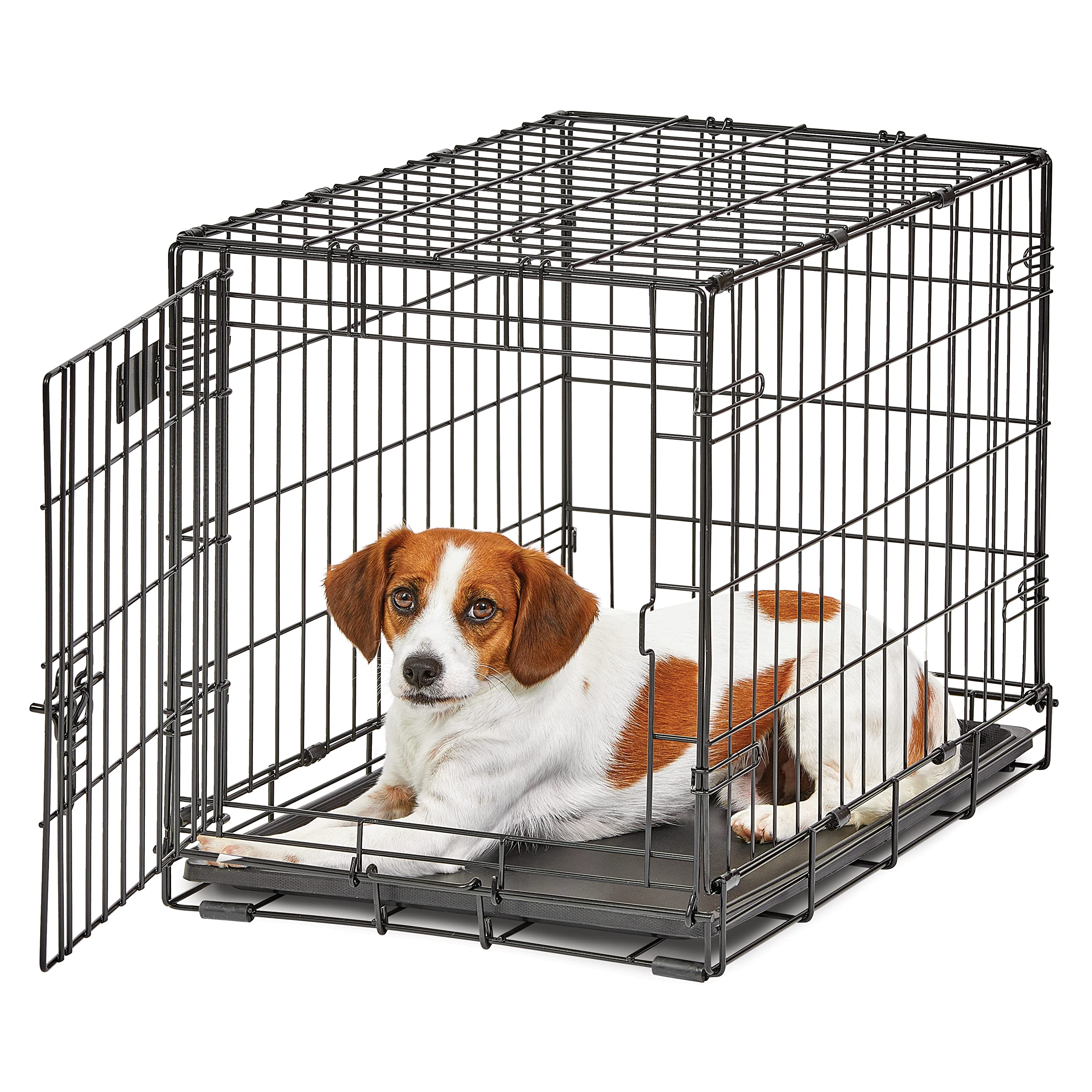 Midwest Homes For Pets Small Dog Crate | Life Stages 24' Folding Metal Crate | Divider Panel, Floor Protecting Feet, Leak-Proof Dog Pan | 24L X 18W X 19H Inches, Small Dog Breed