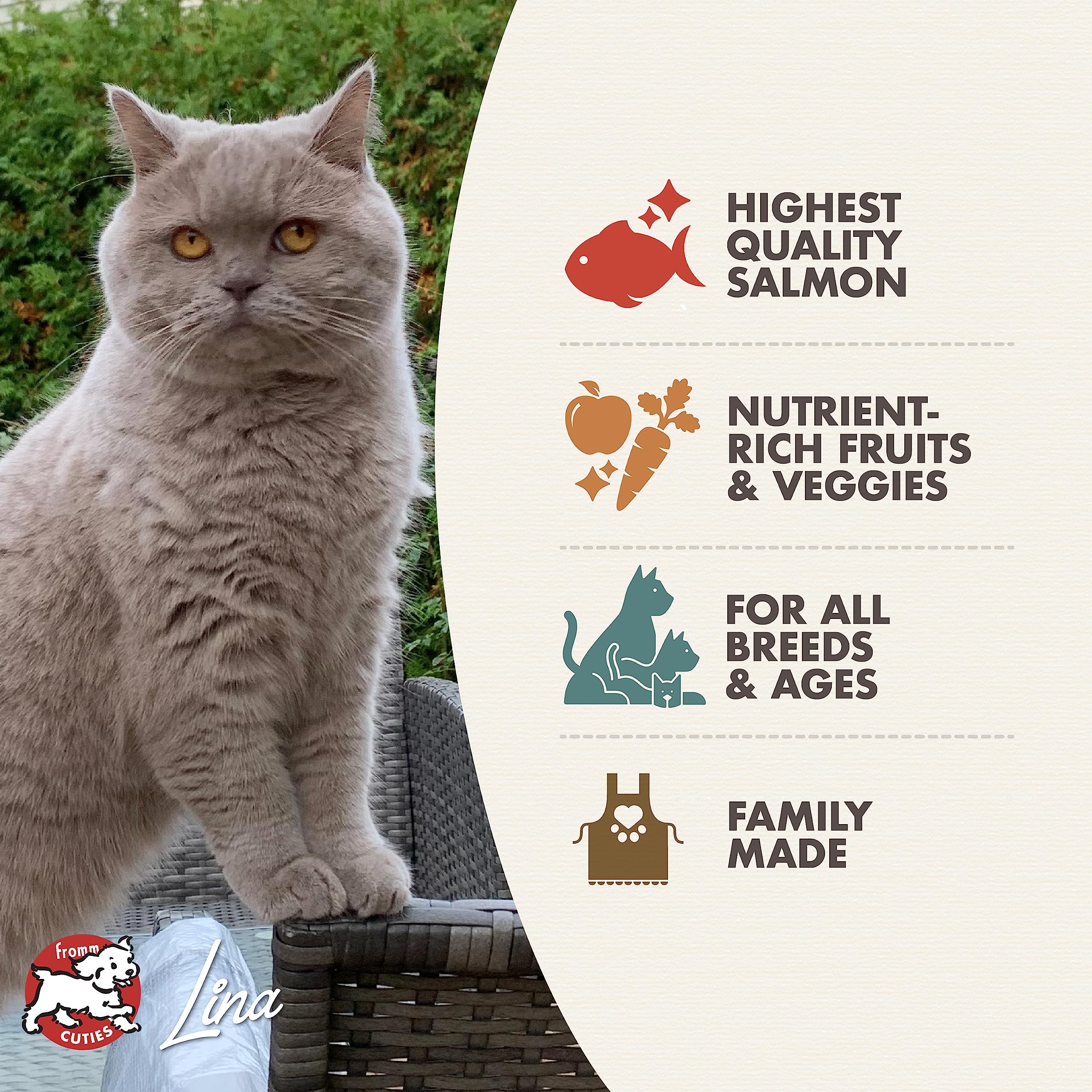 Fromm Four-Star Nutritionals Salmon A La Veg Cat Food - Premium Dry Cat Food - Salmon Recipe - 10 lb
