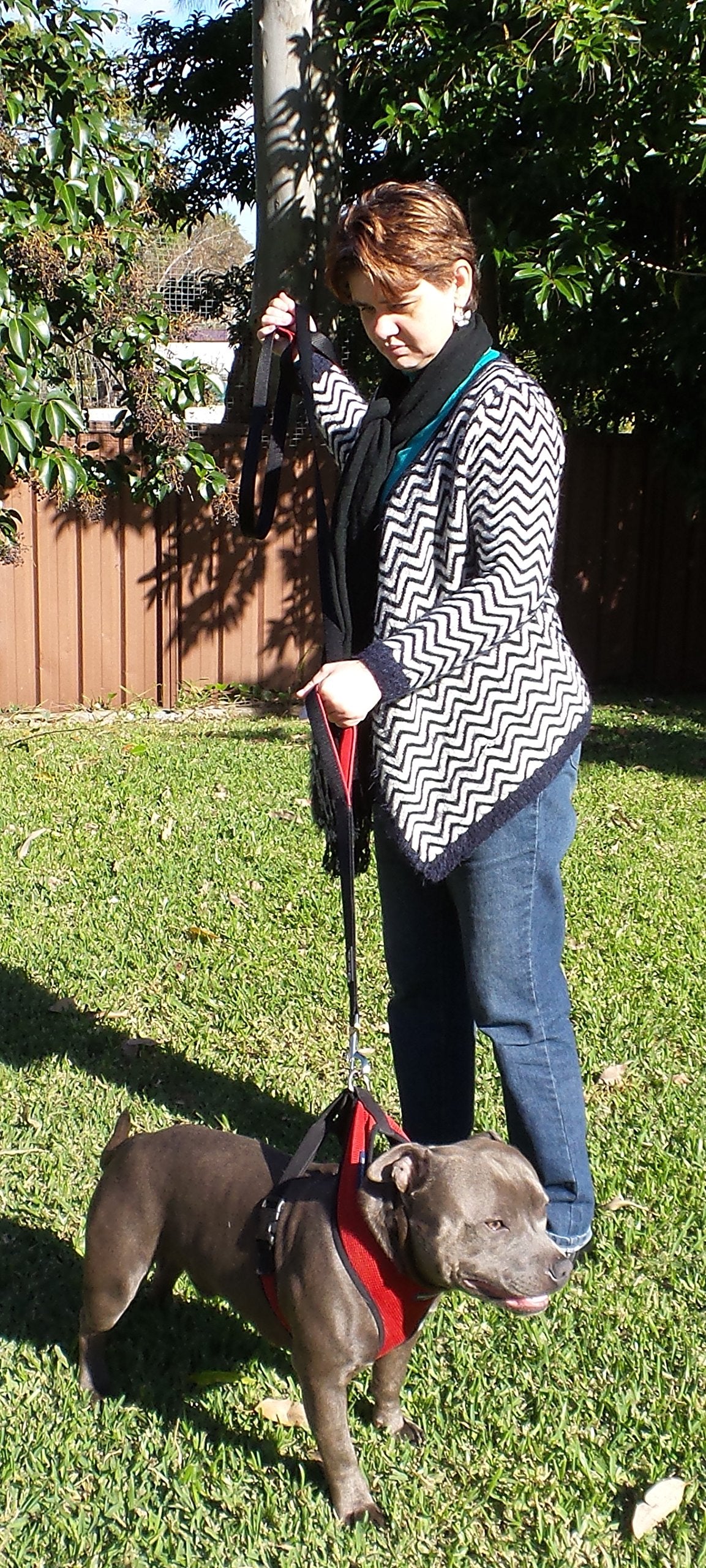 Primal Pet Gear Dog Leash 6Ft Long,Traffic Padded Two Handle,Heavy Duty,Reflective Double Handles Lead For Control Safety Traini