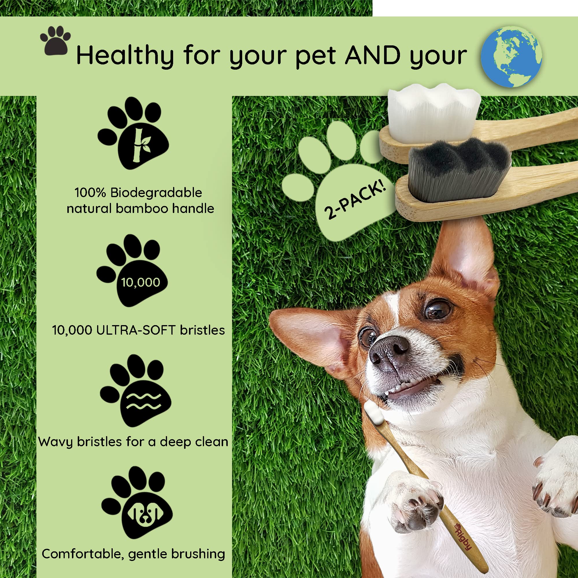 OH RIGBY Dog Toothbrush - 10,000 Ultra-Soft Bristles for Sensitive Teeth - 2 Count