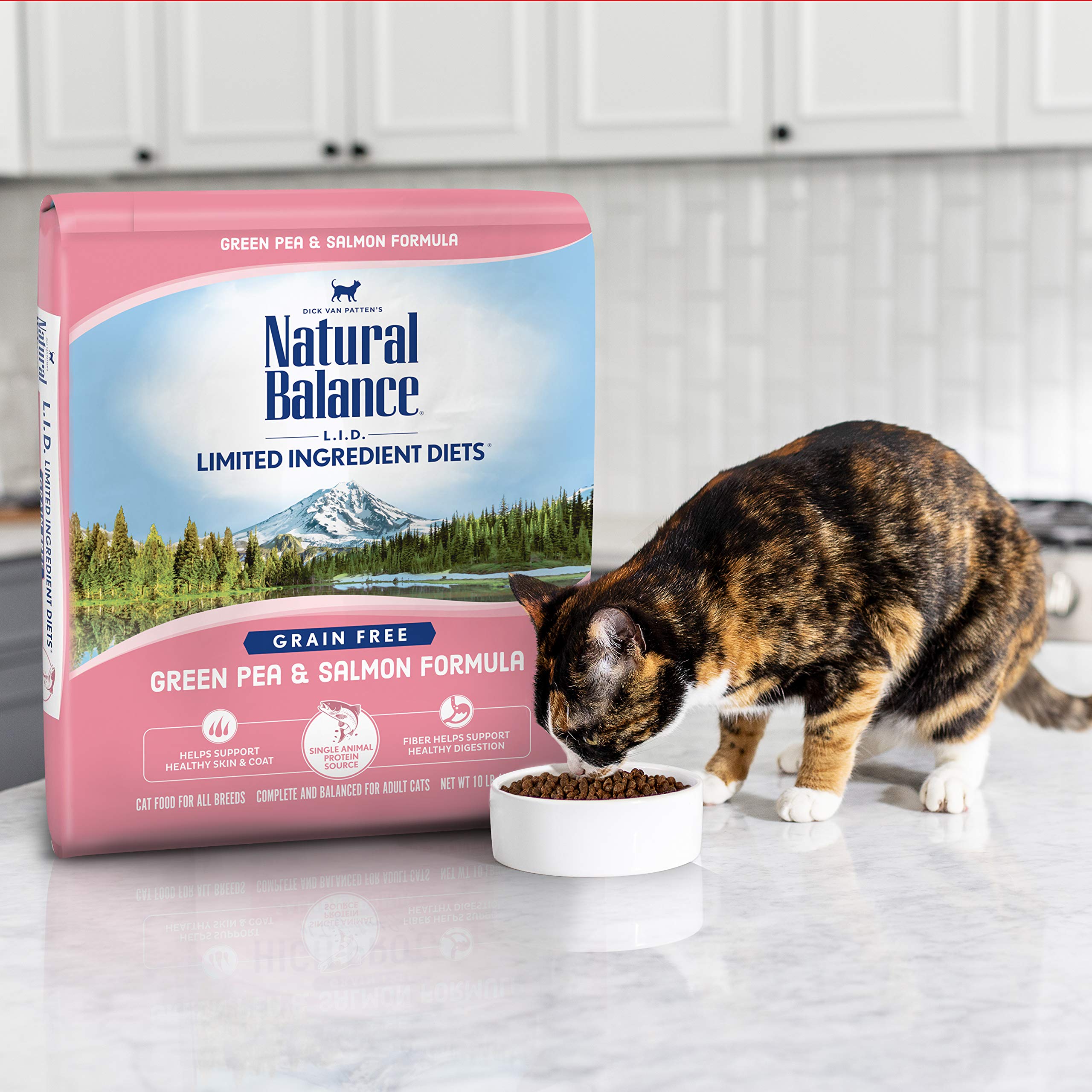 Natural Balance Limited Ingredient Diet Green Pea & Salmon | Grain-Free Dry Adult Cat Food | 5-lb. Bag