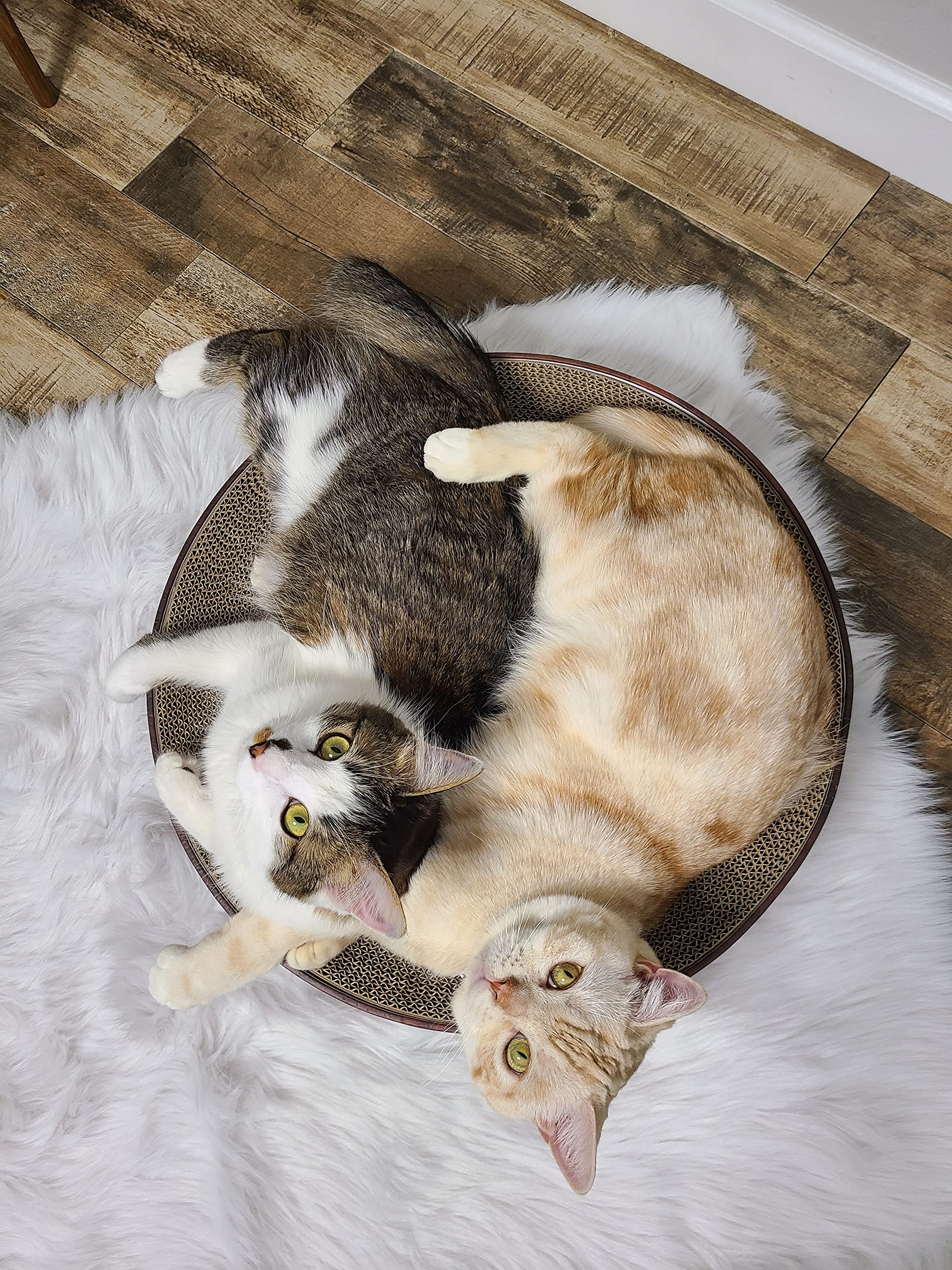 NECOICHI Cozy Cat Scratcher Bowl - 100% Recycled Paper, Chemical-Free, Dark Cherry, Regular Size