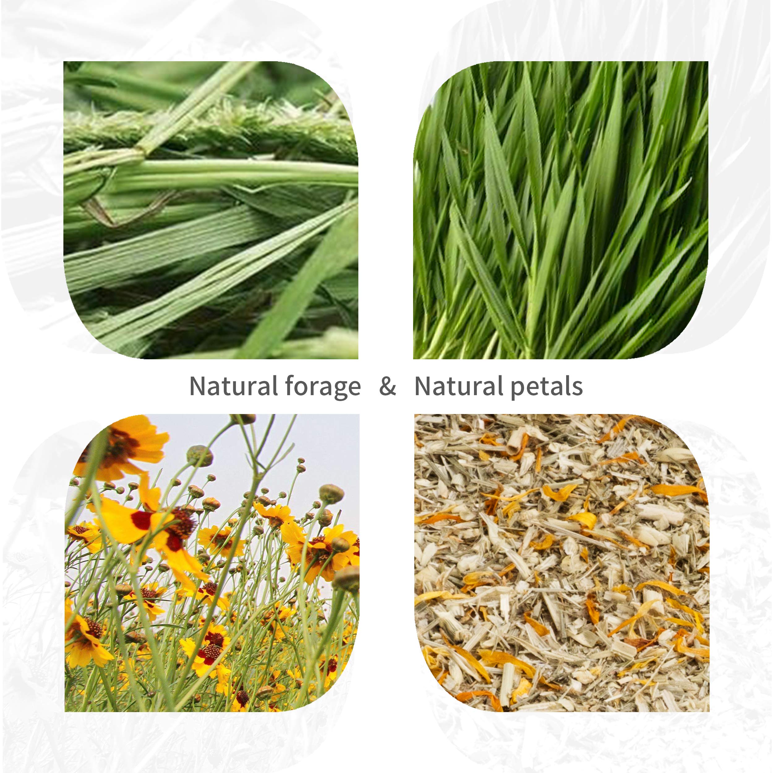 Niteangel Creative & Composable Hamster Tunnel - Diy & Build Unique Tube Burrow As Hideout For Small Sized Animals Like Hamsters Mouse Gerbils Mice (Corner)