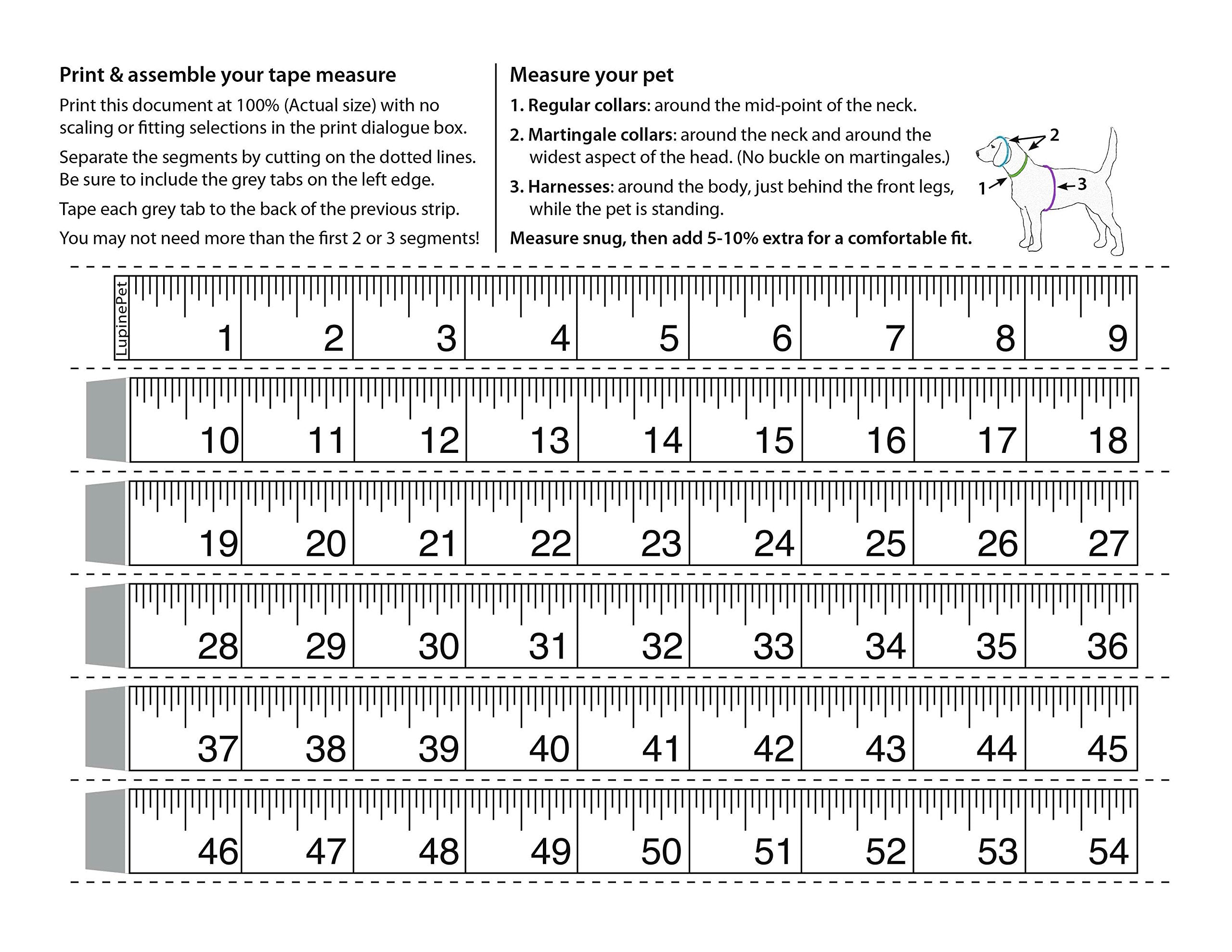 Lupinepet Originals 1' Flower Power 24-38' Adjustable Roman Dog Harness For Large Dogs