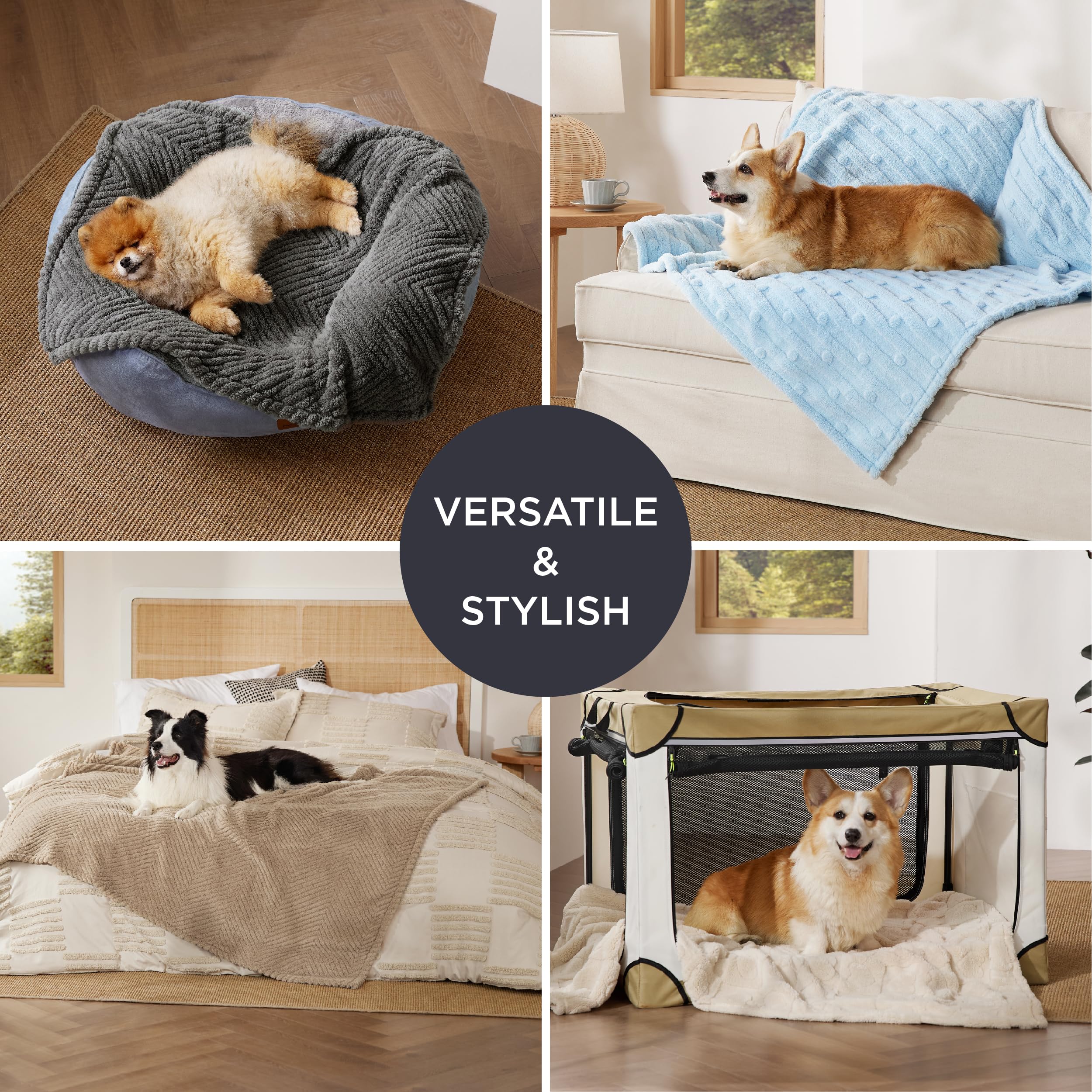 Bedsure Dog Blanket For Small Dogs Washable - Fluffy Fuzzy Puppy Cat Blanket With Premium 300Gsm Coral Fleece Soft For Pet Kitte