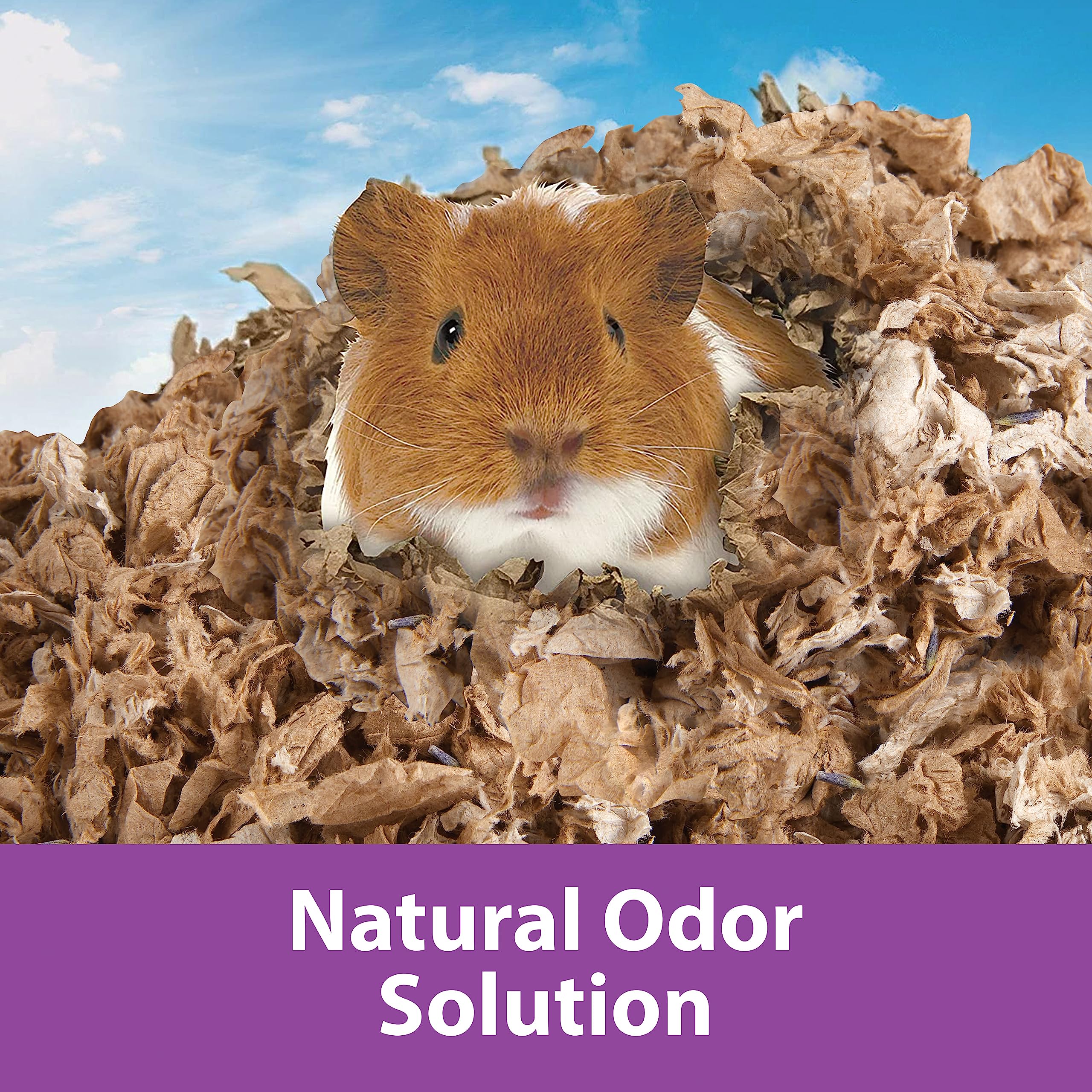 Kaytee Clean and Cozy Natural Small Pet Bedding with Lavendar