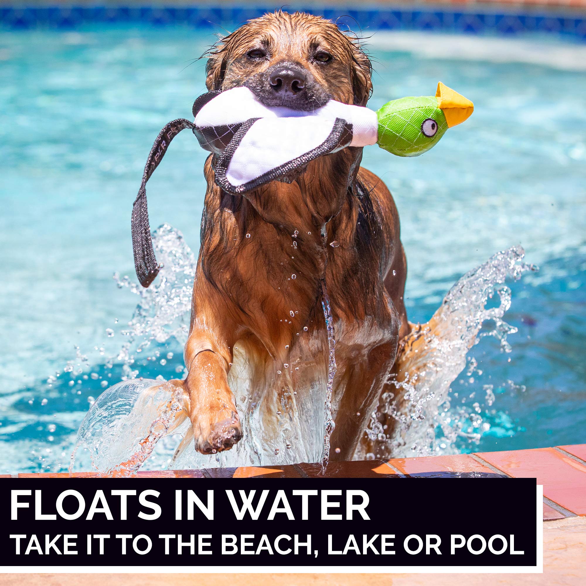 Hyper Pet Flying Series Interactive Dog Toys - Large Duck Slingshot Fetching Dog Toy - Floats On Water